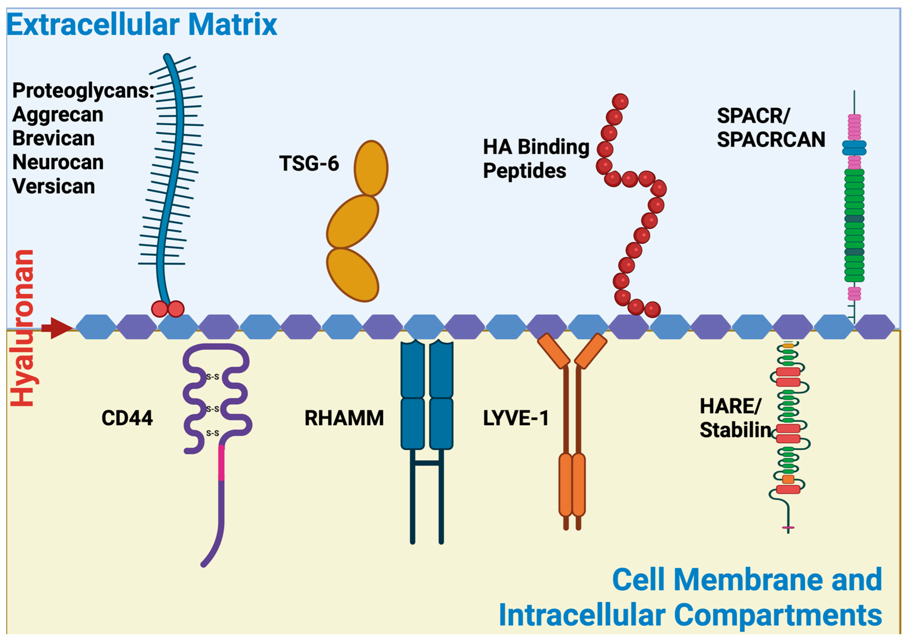 Biomimetics 09 00499 g001 Biomimetics 09 00499 g001