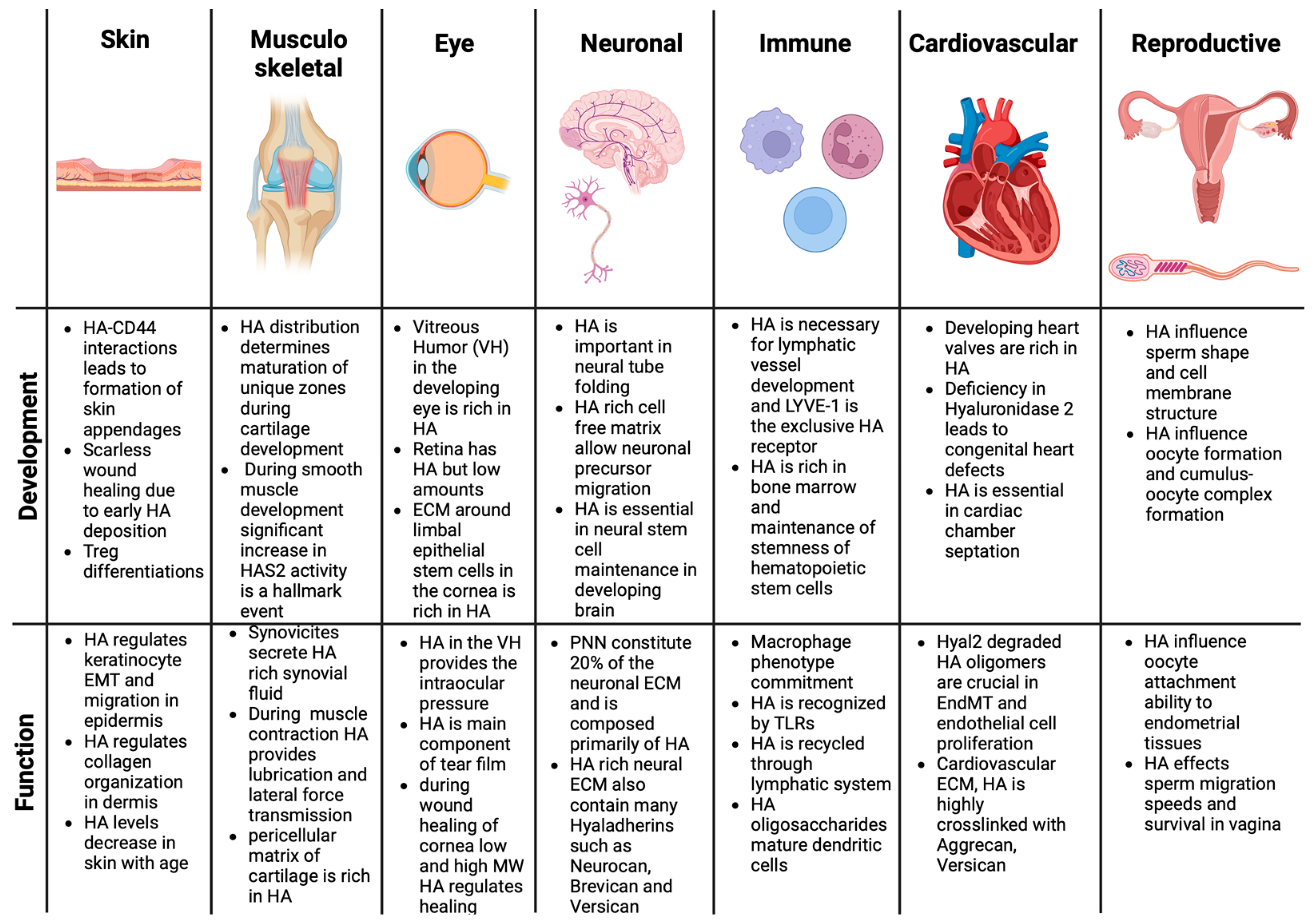 Biomimetics 09 00499 g002 Biomimetics 09 00499 g002