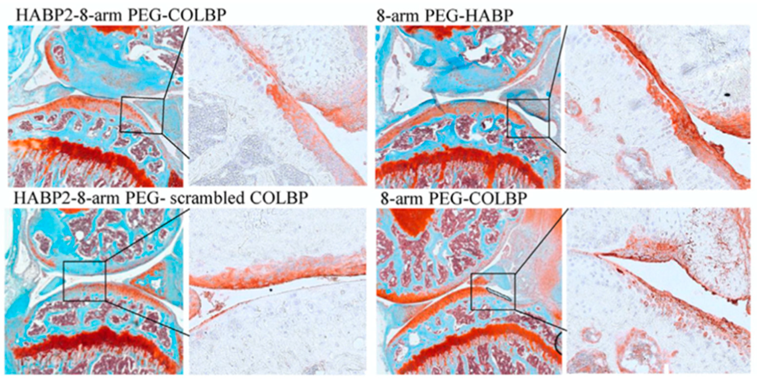 Biomimetics 09 00499 g005 Biomimetics 09 00499 g005