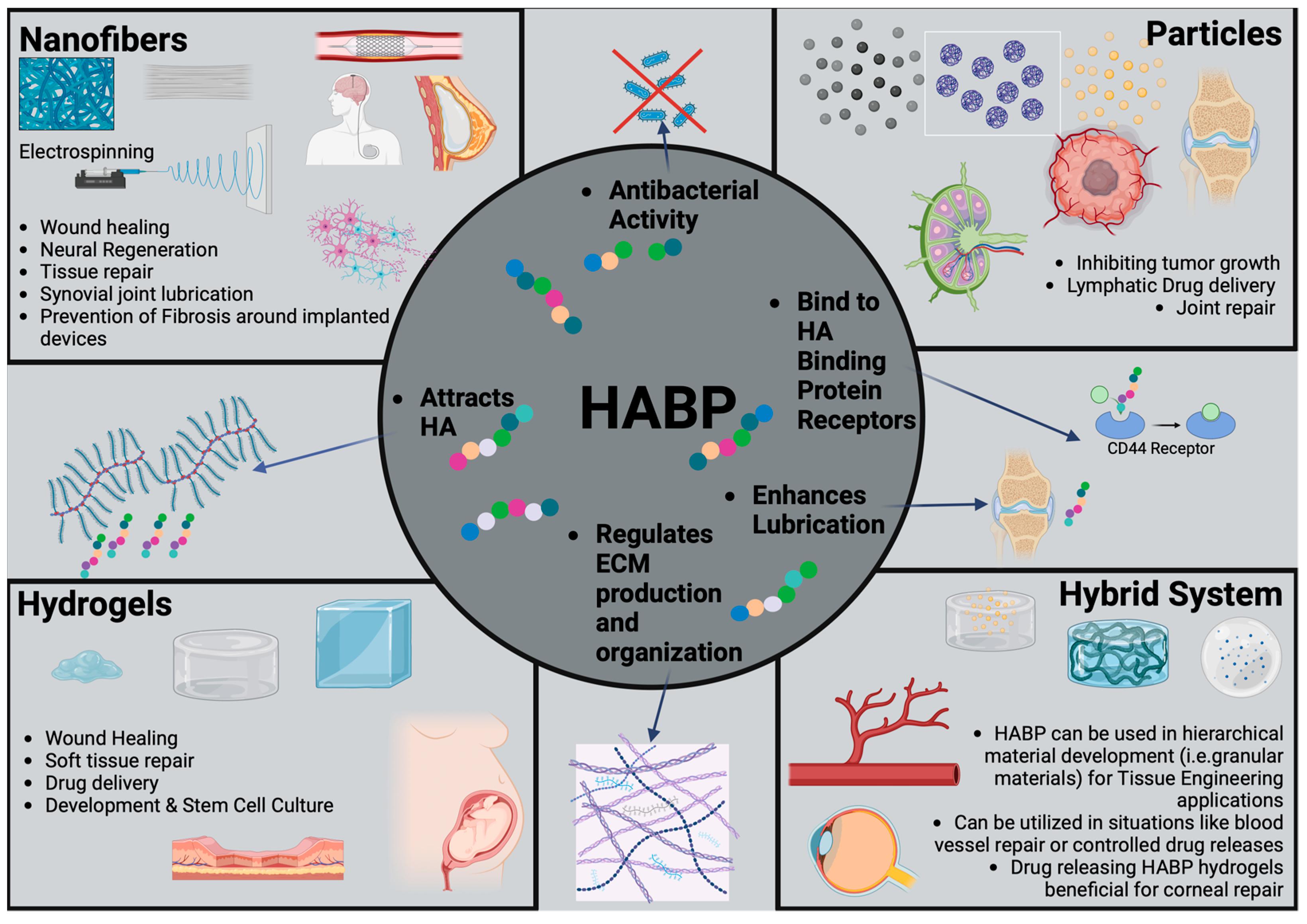 Biomimetics 09 00499 g007 Biomimetics 09 00499 g007