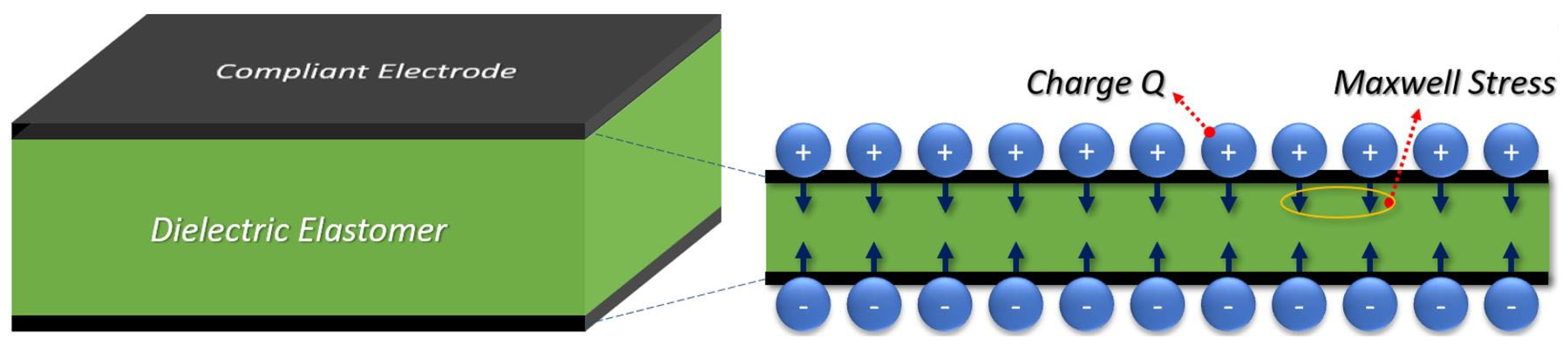 Biomimetics 09 00505 g001