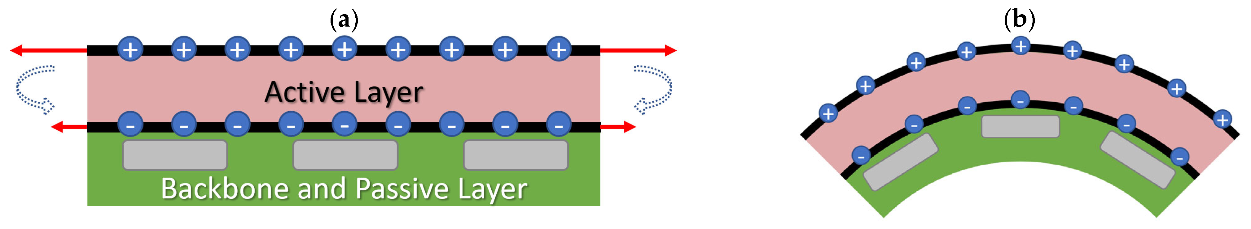 Biomimetics 09 00505 g007