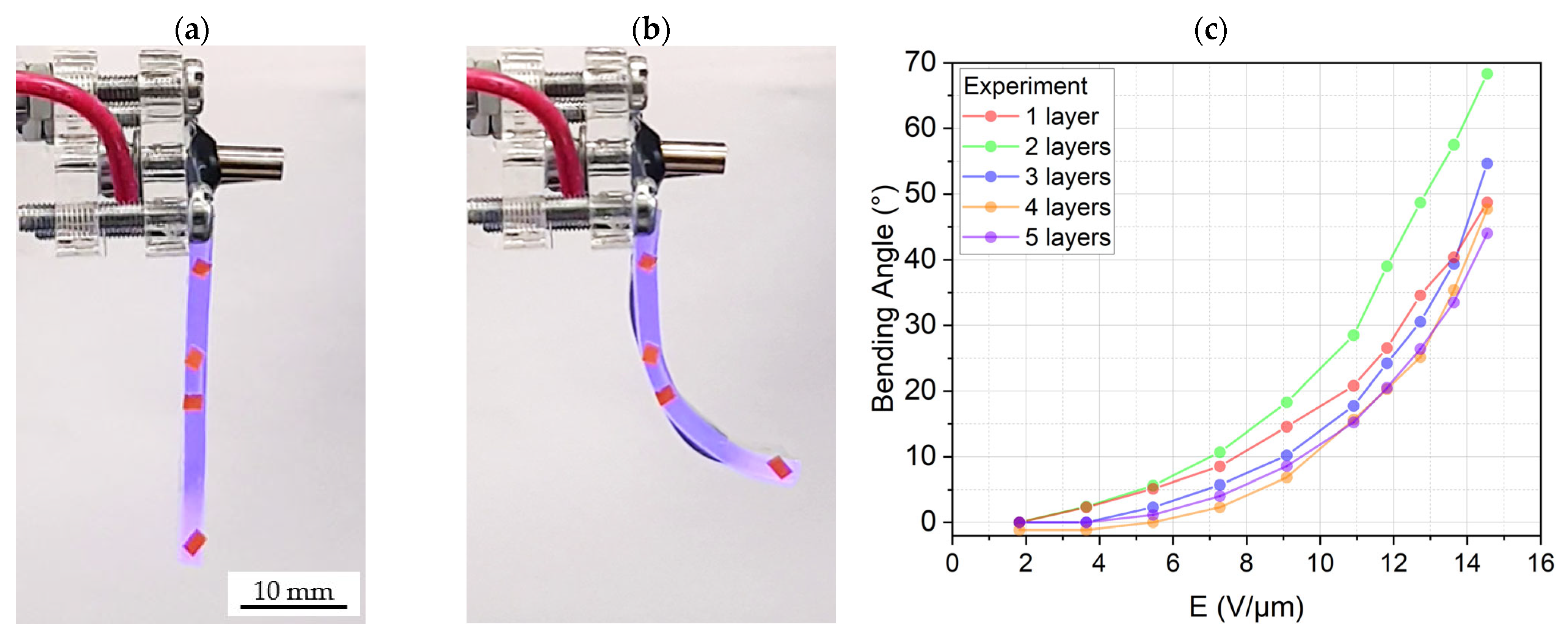 Biomimetics 09 00505 g012
