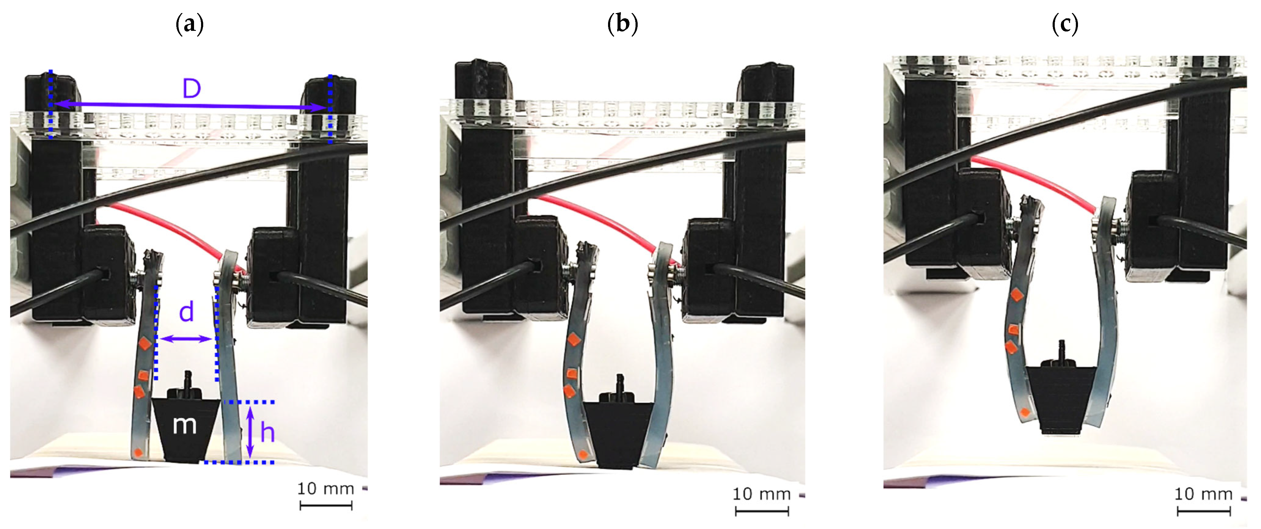 Biomimetics 09 00505 g013
