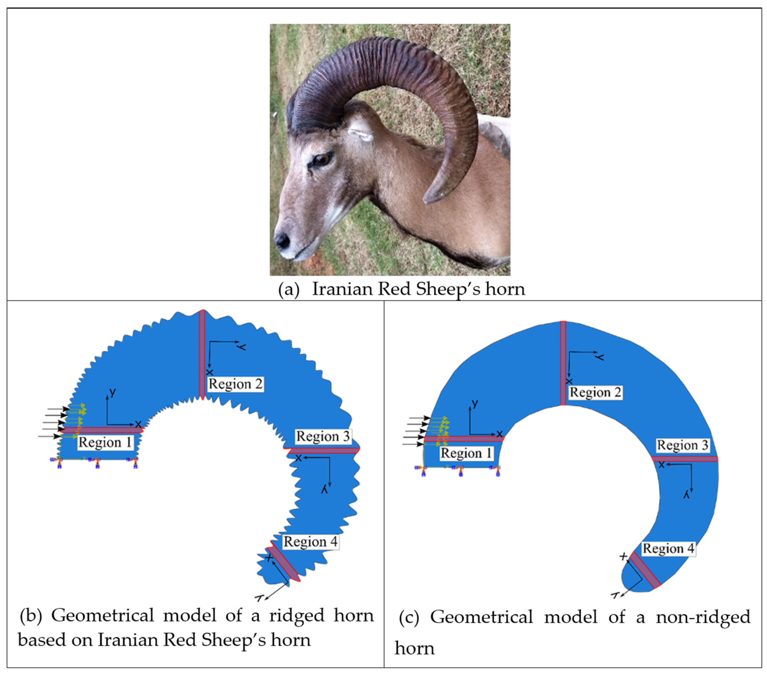 Biomimetics 09 00506 g002