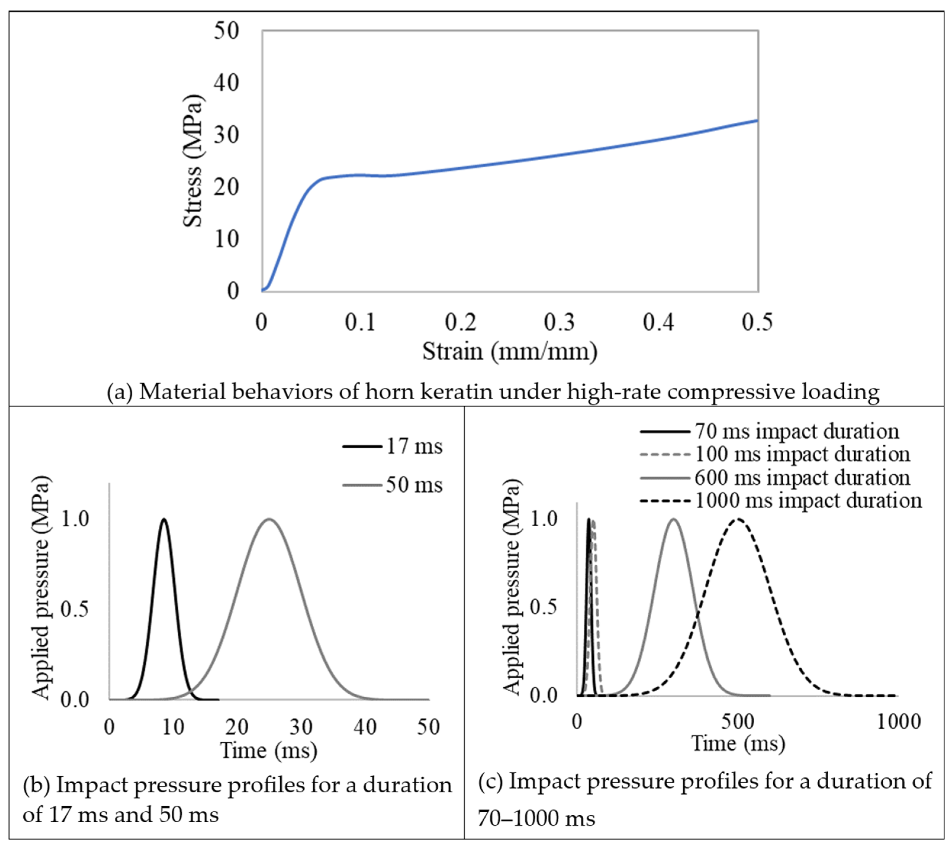 Biomimetics 09 00506 g003