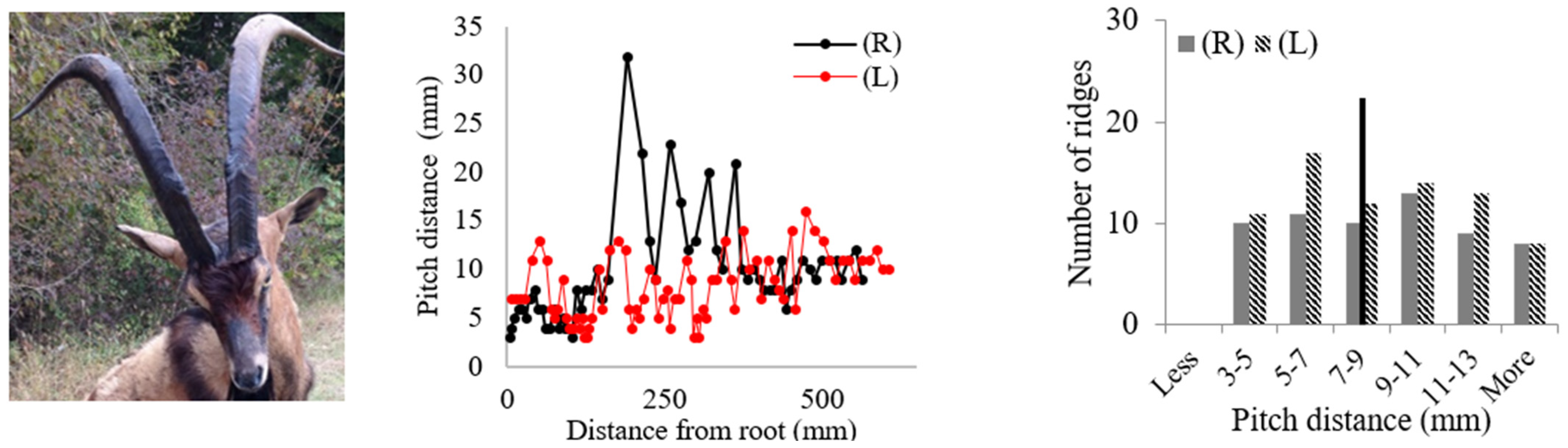 Biomimetics 09 00506 i002