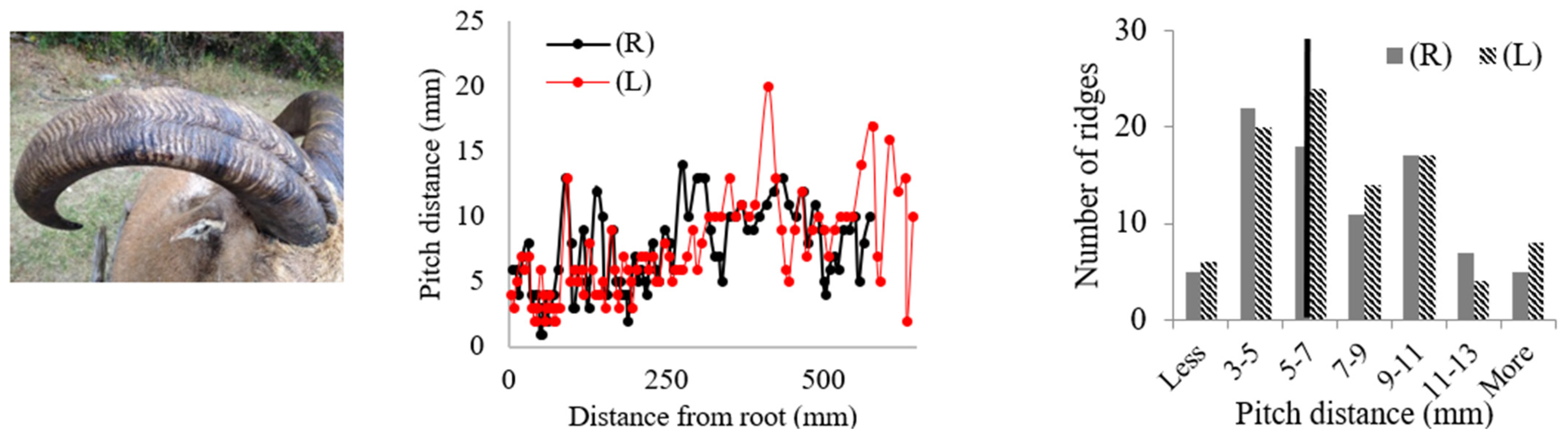 Biomimetics 09 00506 i003