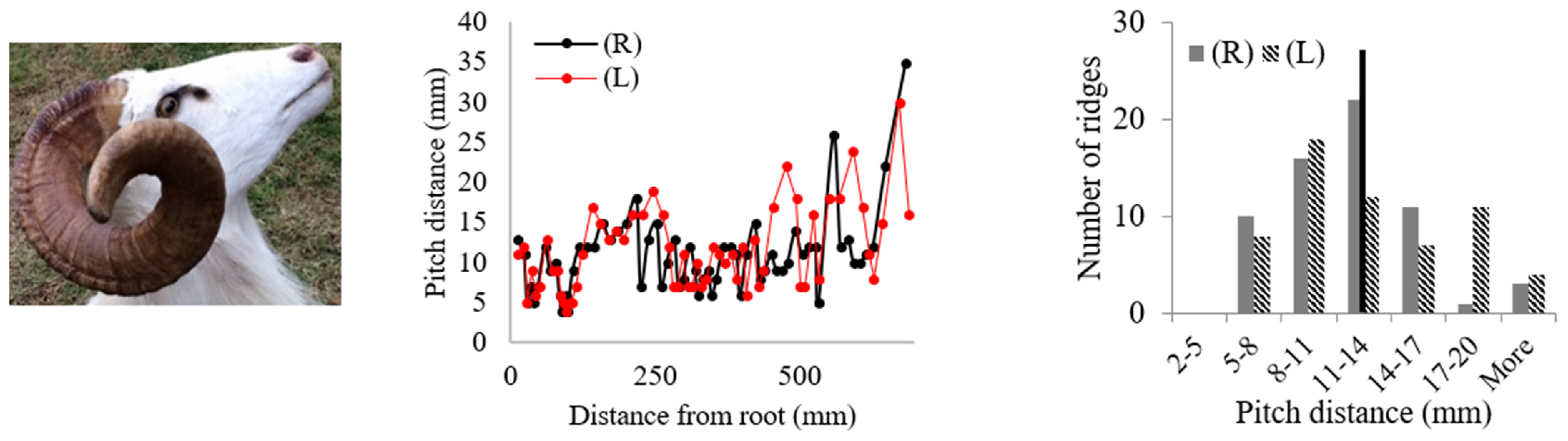 Biomimetics 09 00506 i004