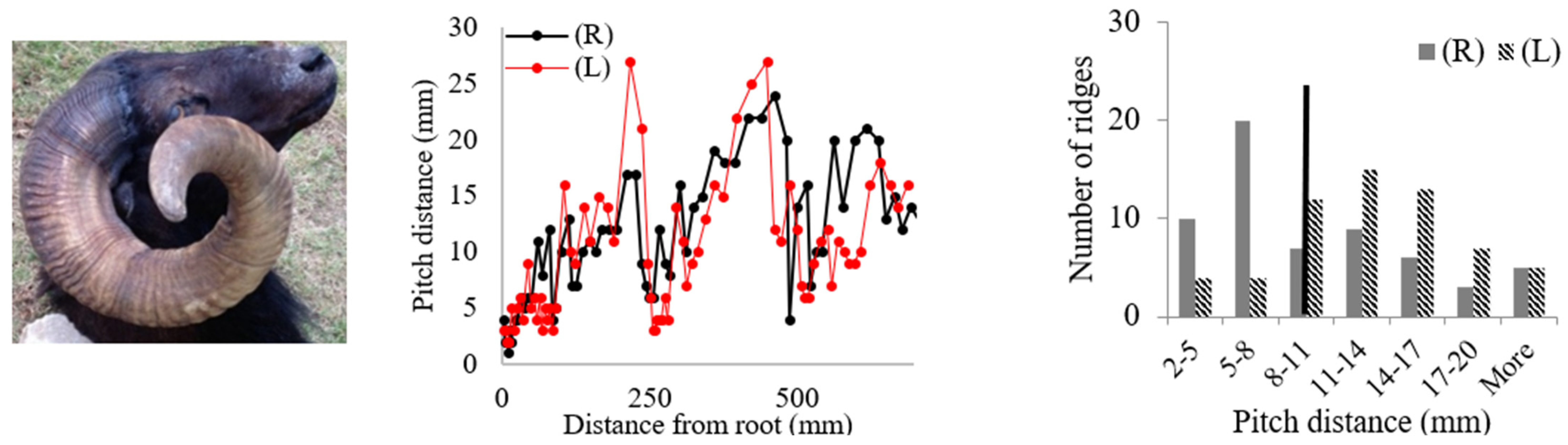 Biomimetics 09 00506 i006