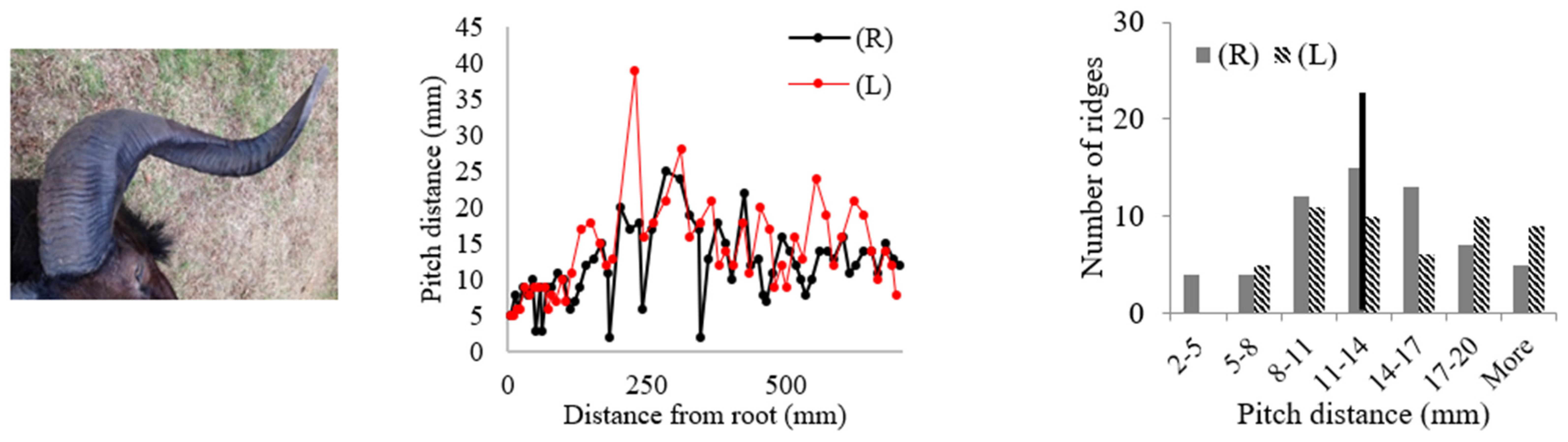 Biomimetics 09 00506 i007
