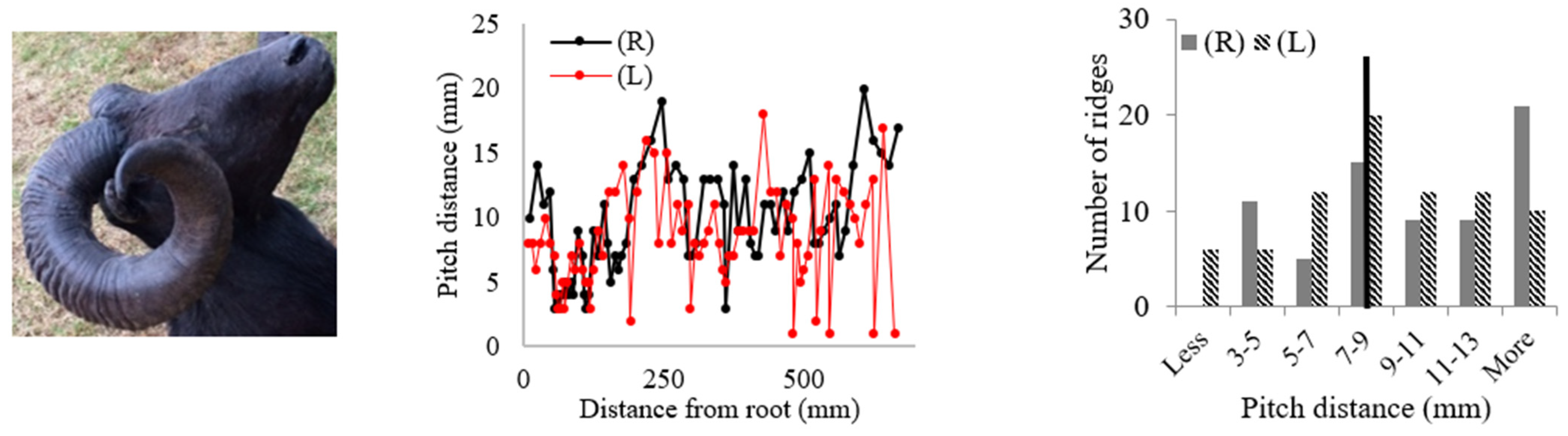 Biomimetics 09 00506 i008