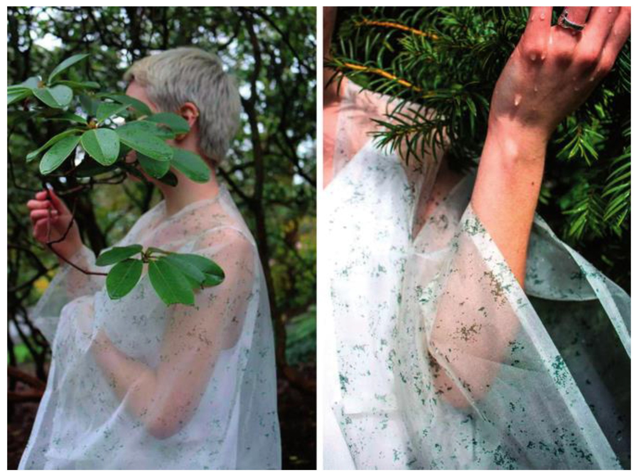 Biomimetics 09 00507 g005