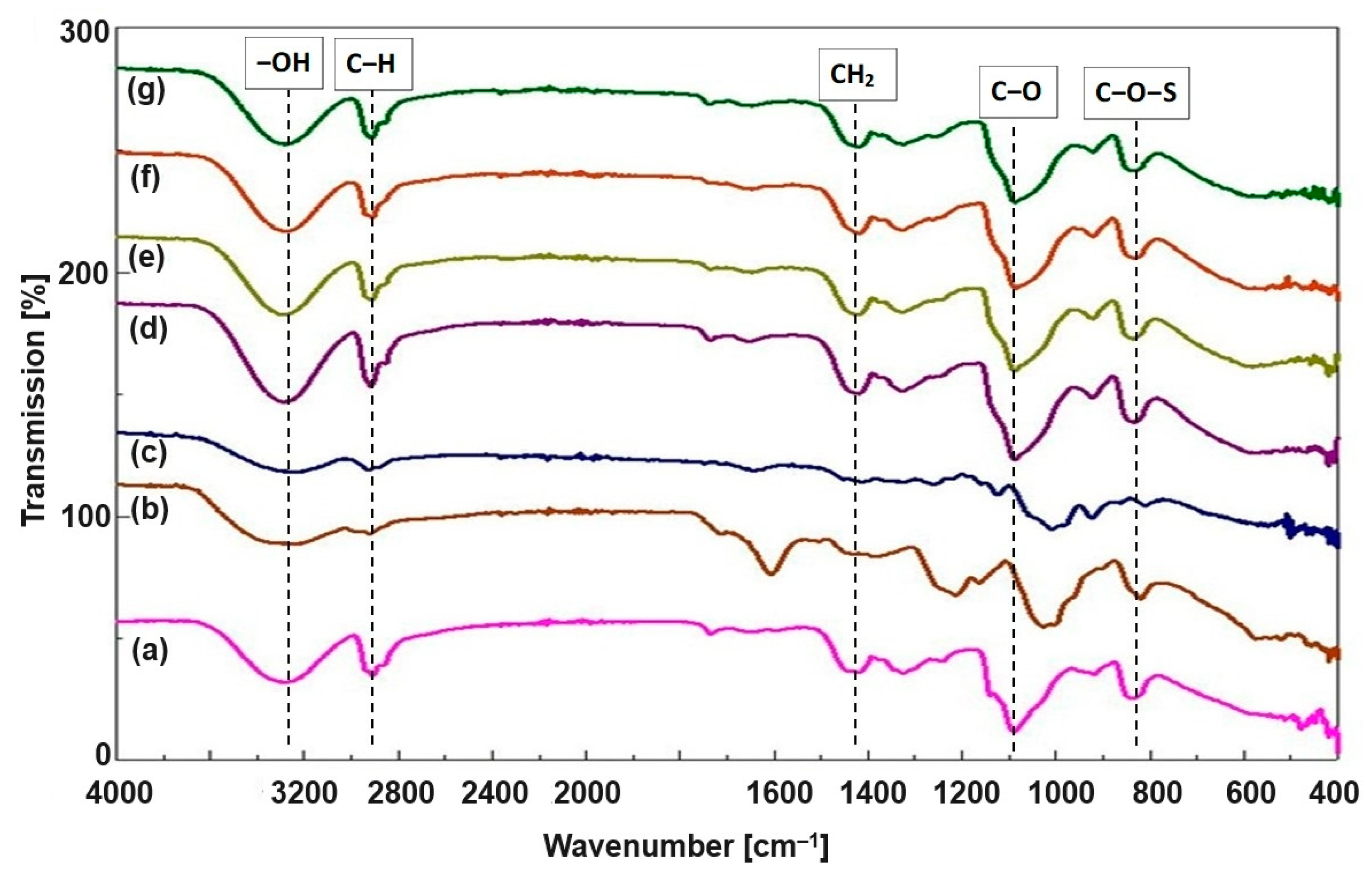 Biomimetics 09 00508 g002