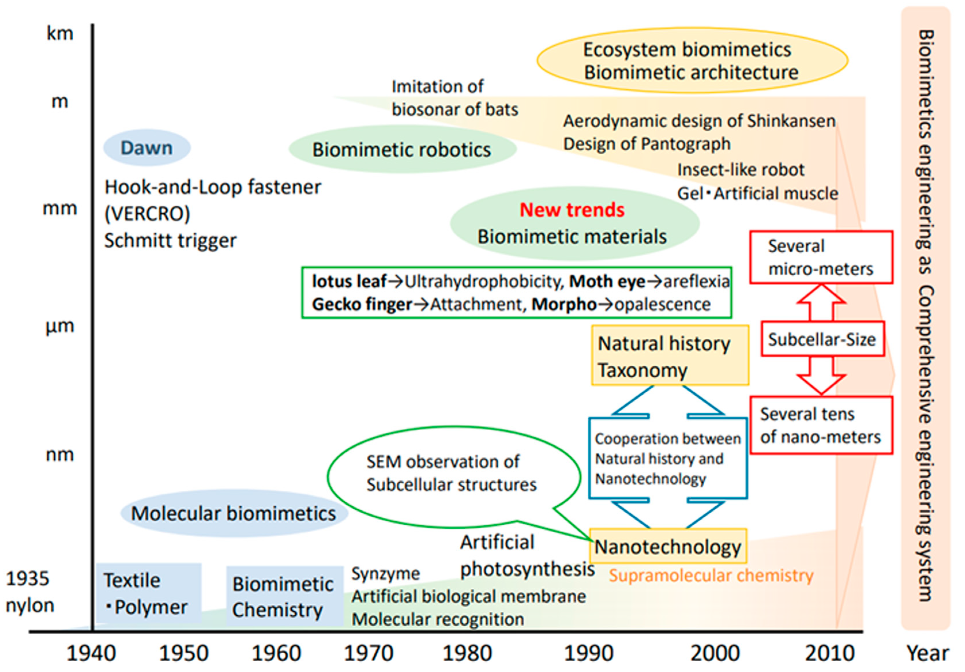 Biomimetics 09 00514 g003