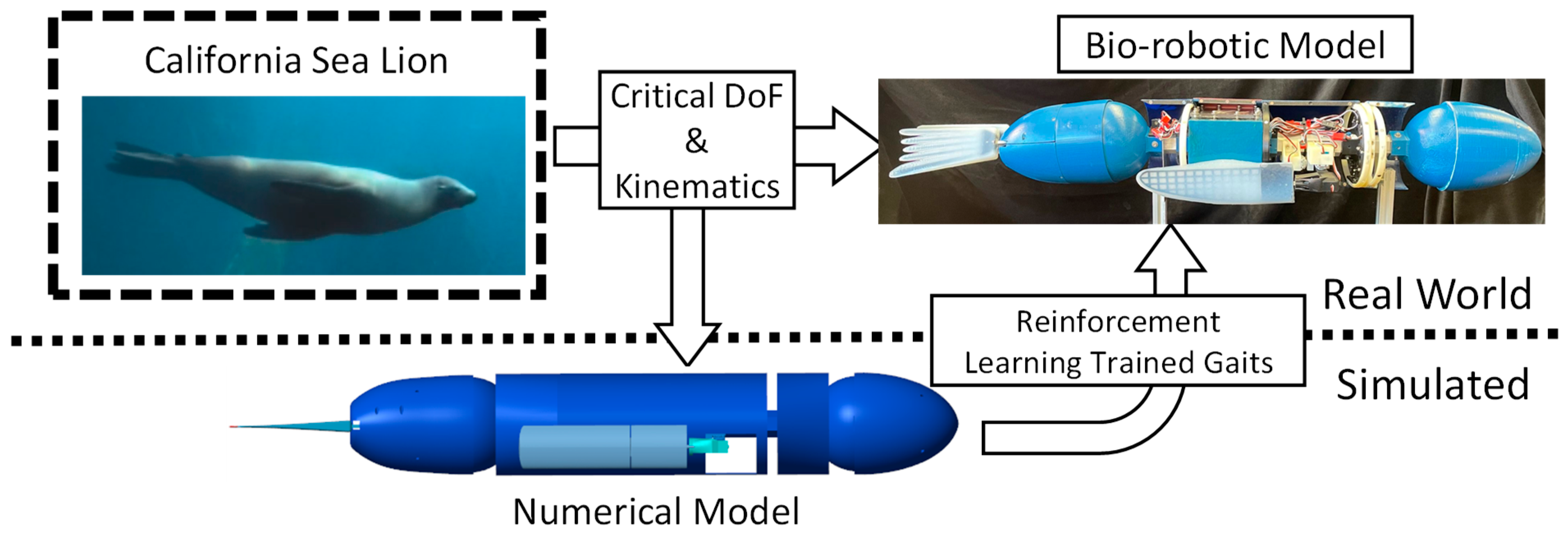 Biomimetics 09 00522 g001