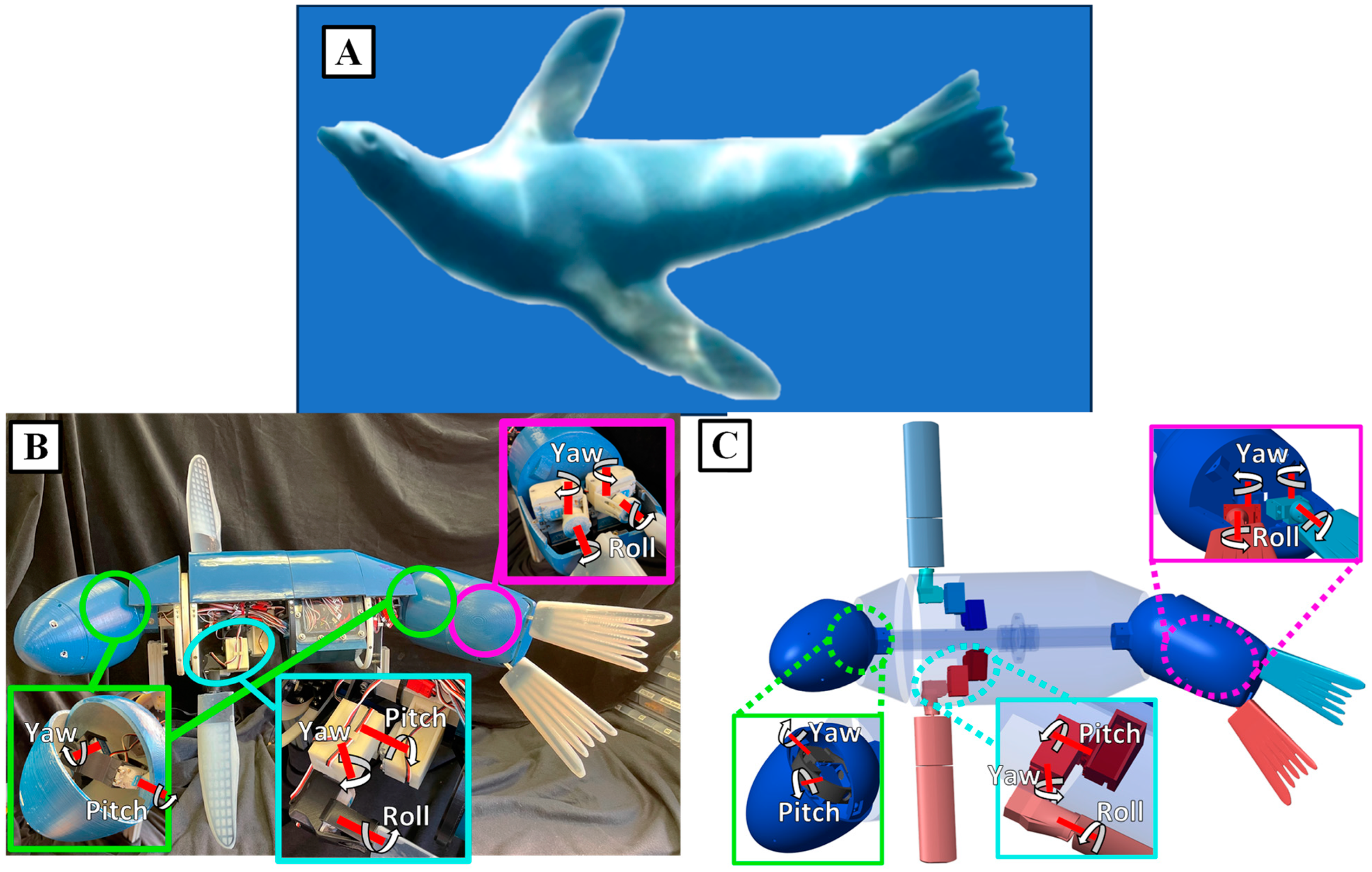 Biomimetics 09 00522 g005