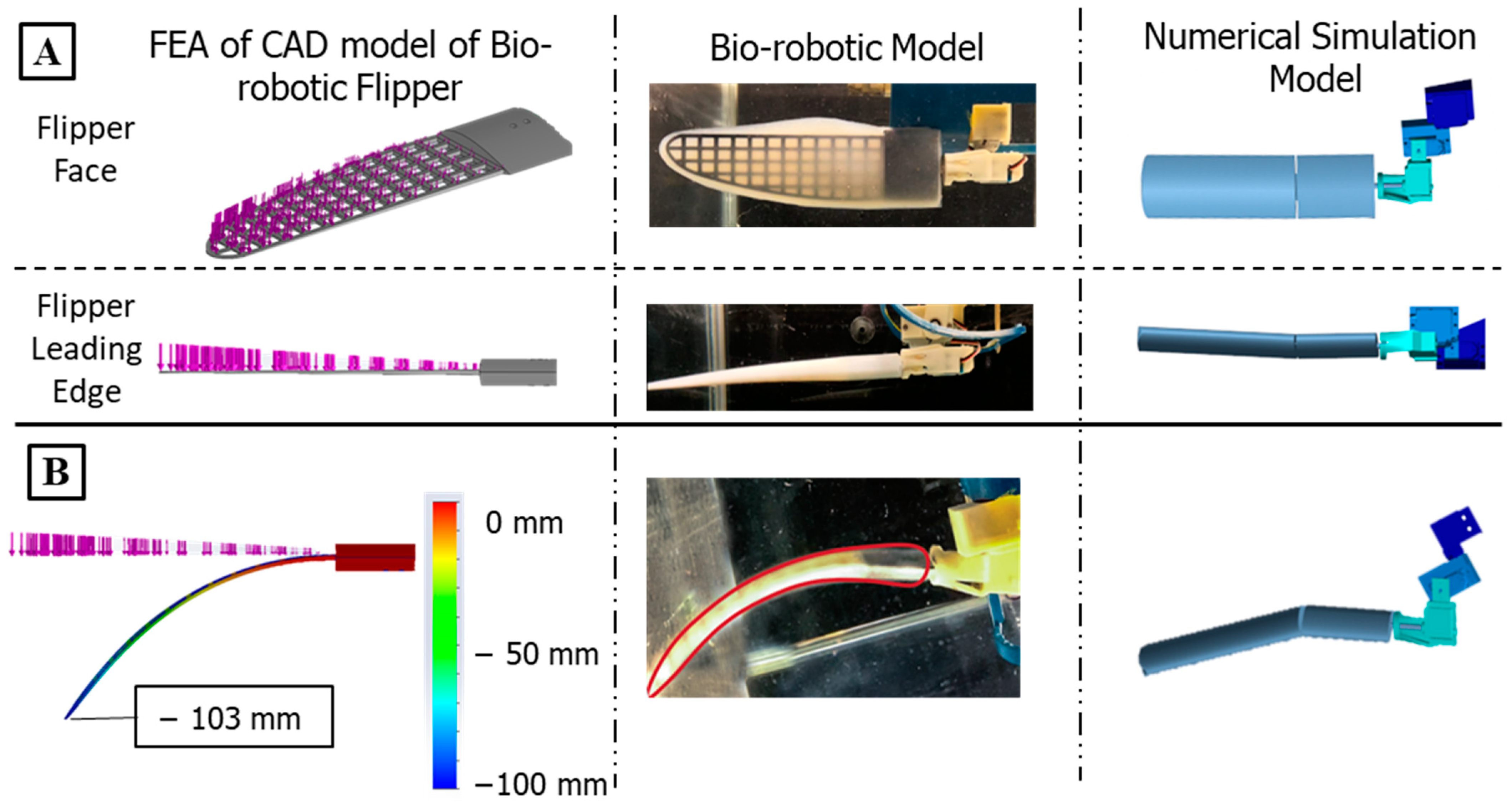 Biomimetics 09 00522 g007