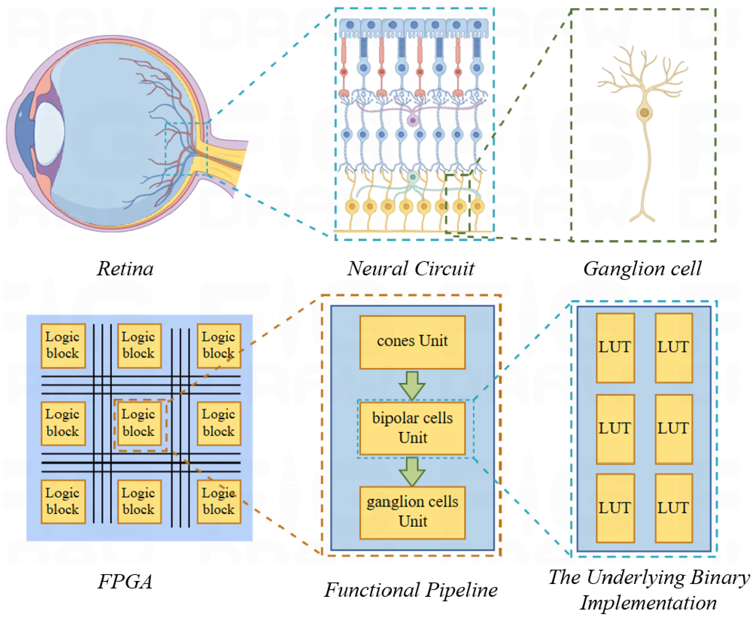 Biomimetics 09 00526 g002