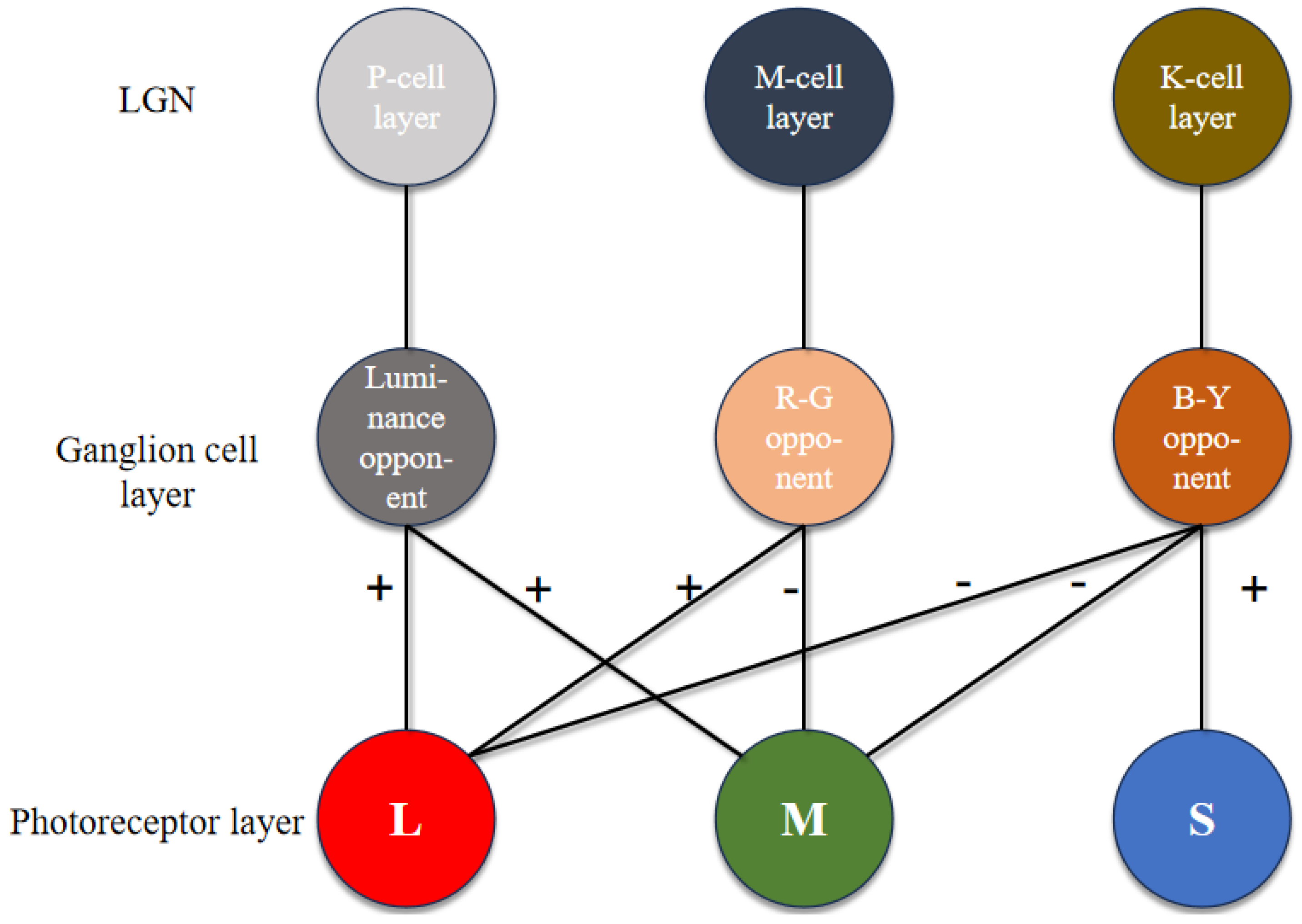Biomimetics 09 00526 g007