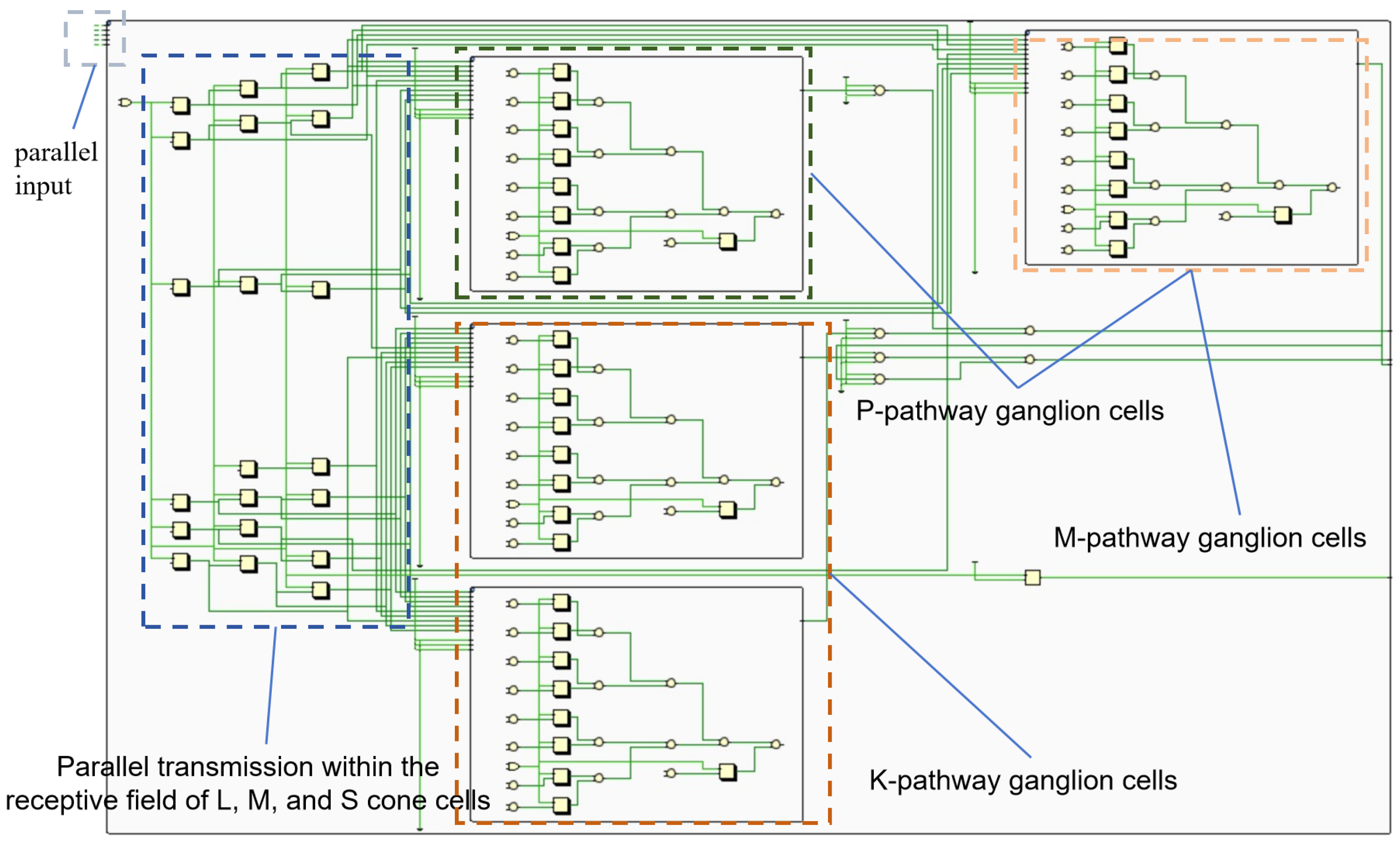 Biomimetics 09 00526 g017
