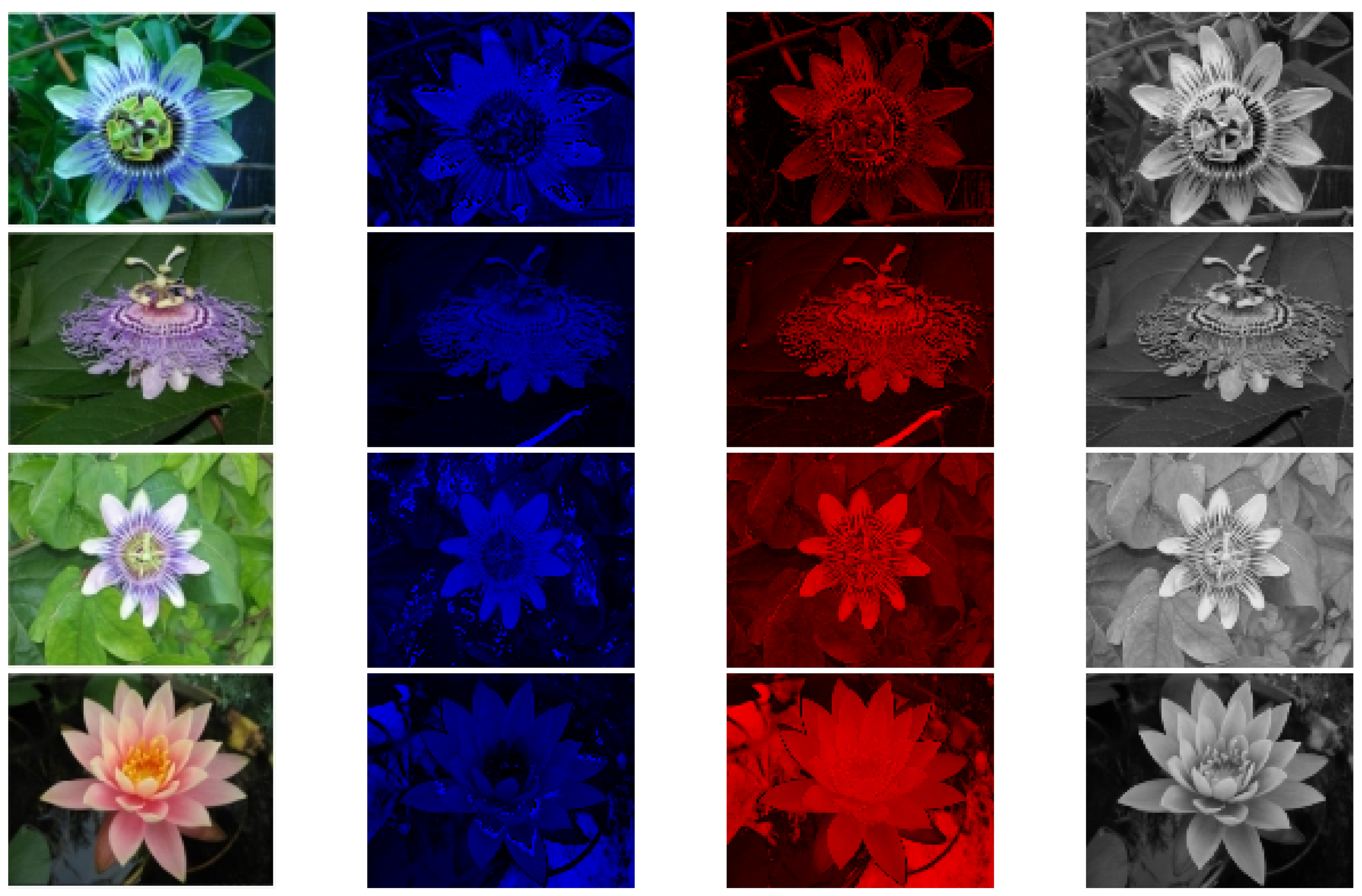 Biomimetics 09 00526 g024