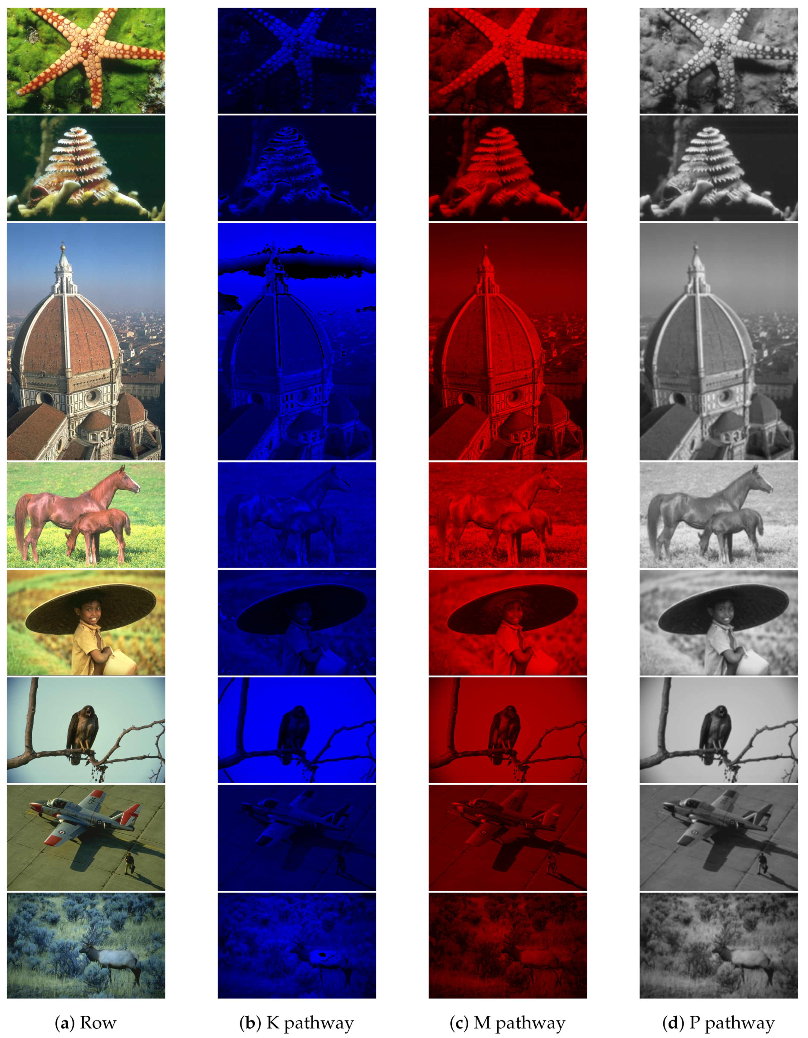 Biomimetics 09 00526 g025