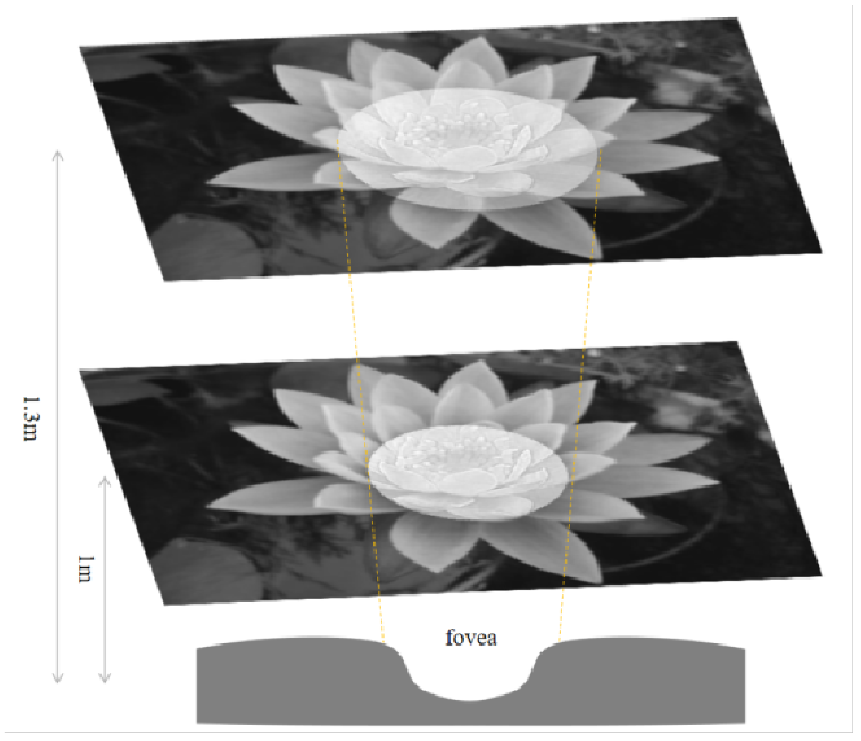 Biomimetics 09 00526 g026