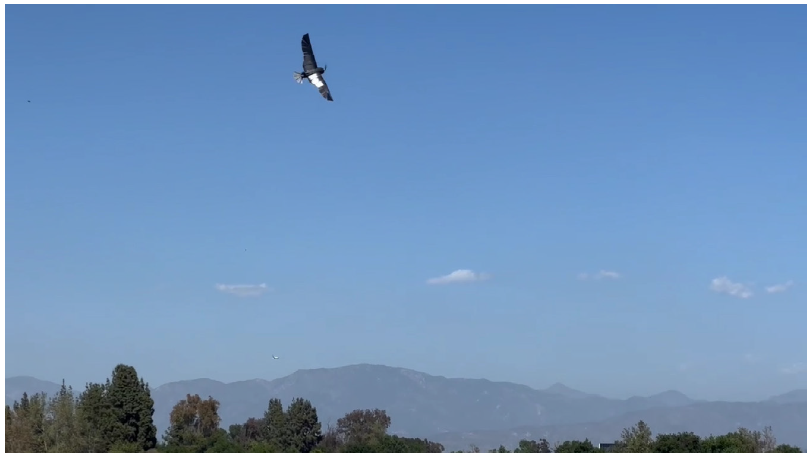 Biomimetics 09 00527 g019