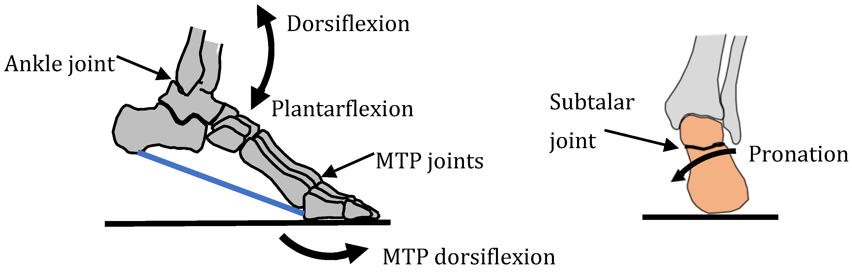 Biomimetics 09 00529 g006