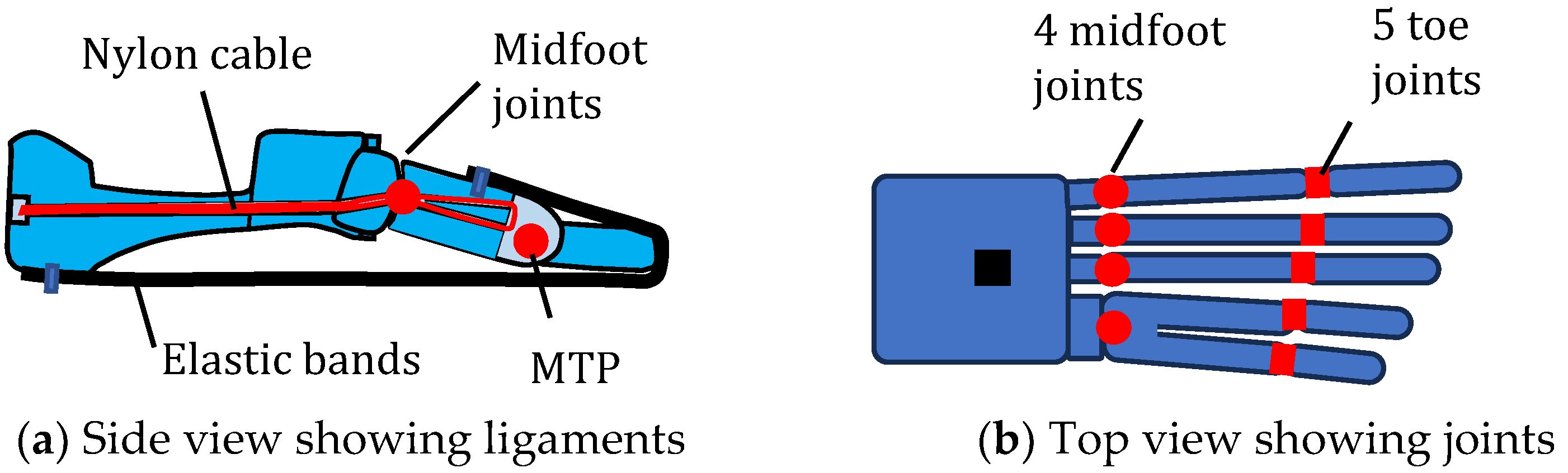 Biomimetics 09 00529 g010