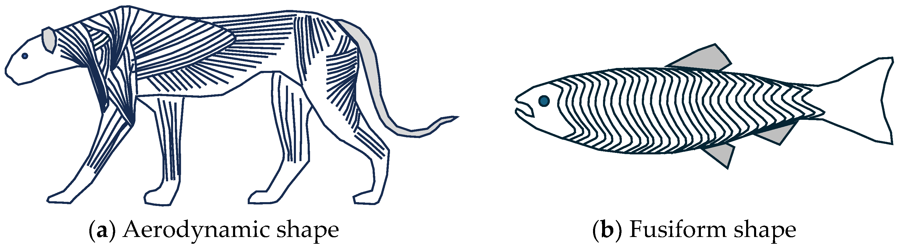 Biomimetics 09 00529 g011