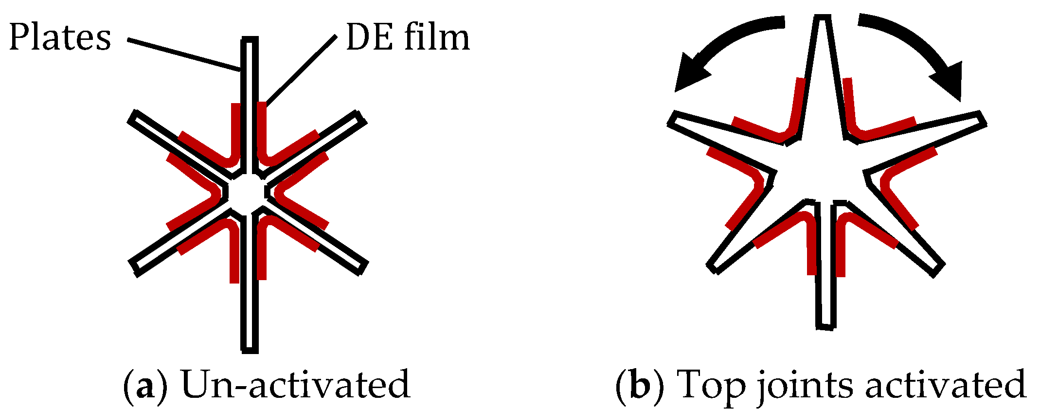 Biomimetics 09 00529 g012