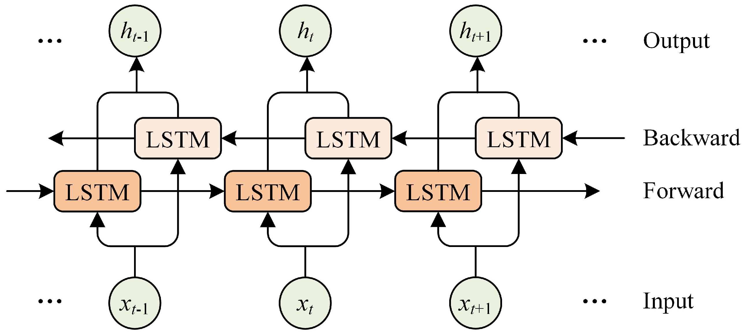 Biomimetics 09 00533 g003