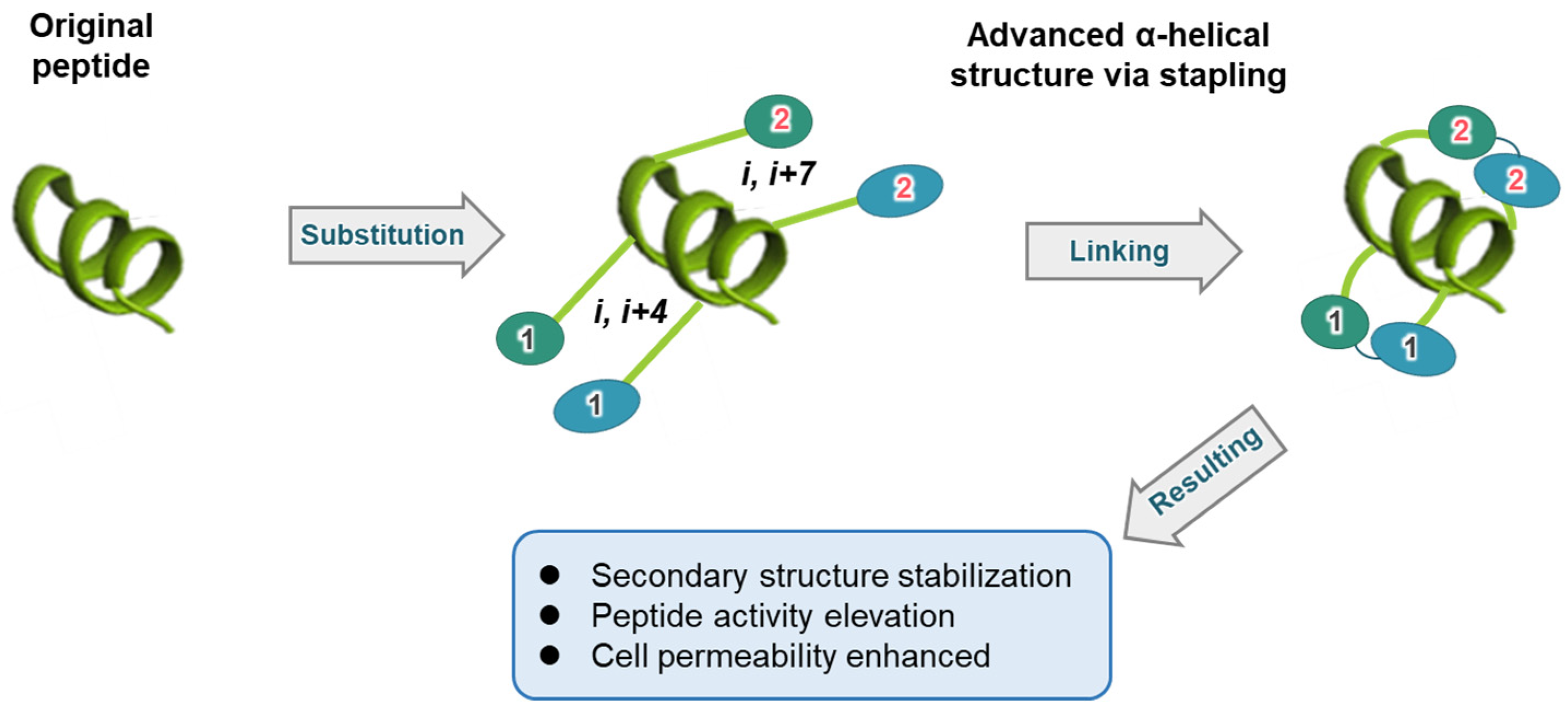 Biomimetics 09 00537 g001