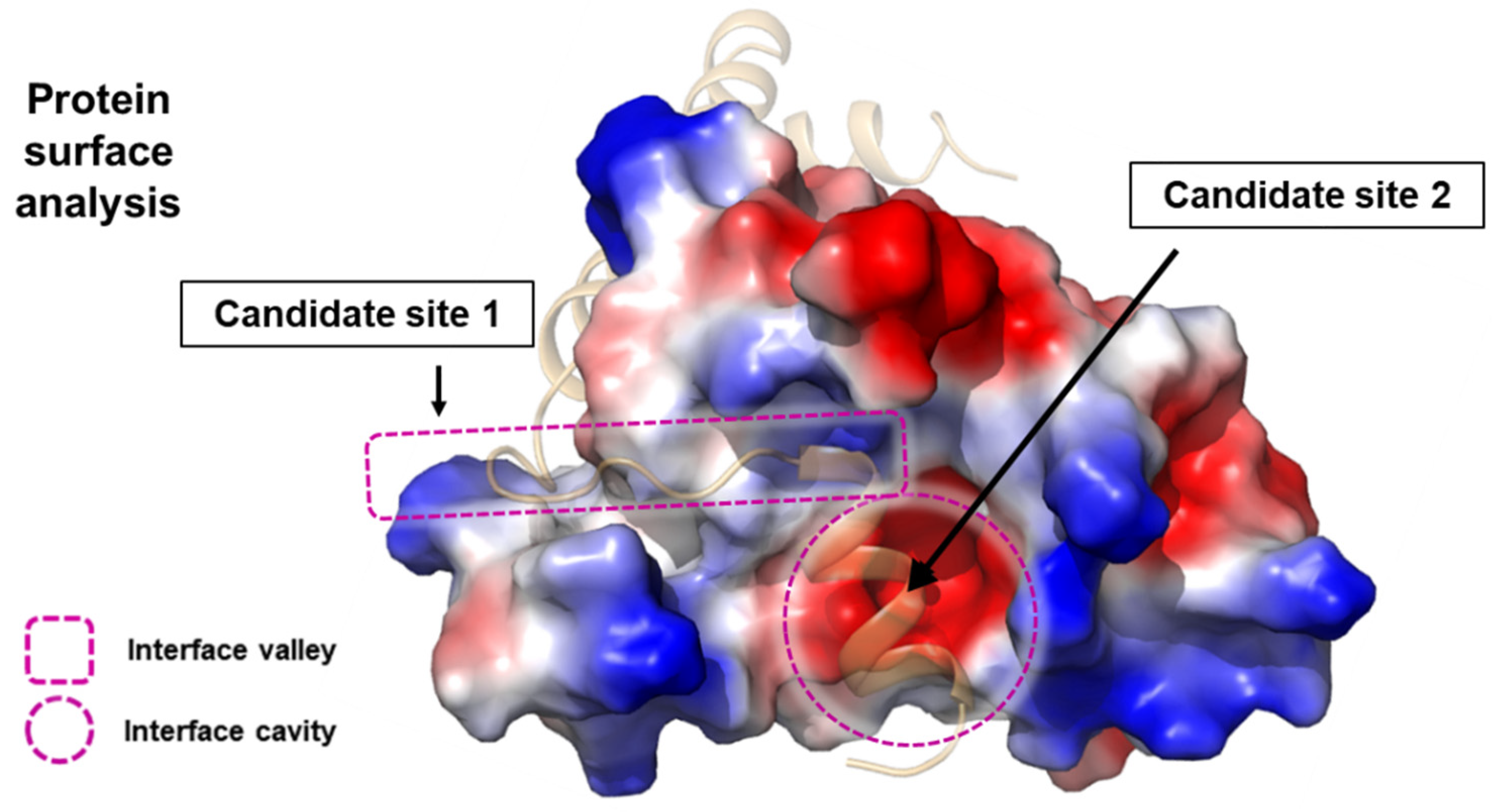 Biomimetics 09 00537 g002
