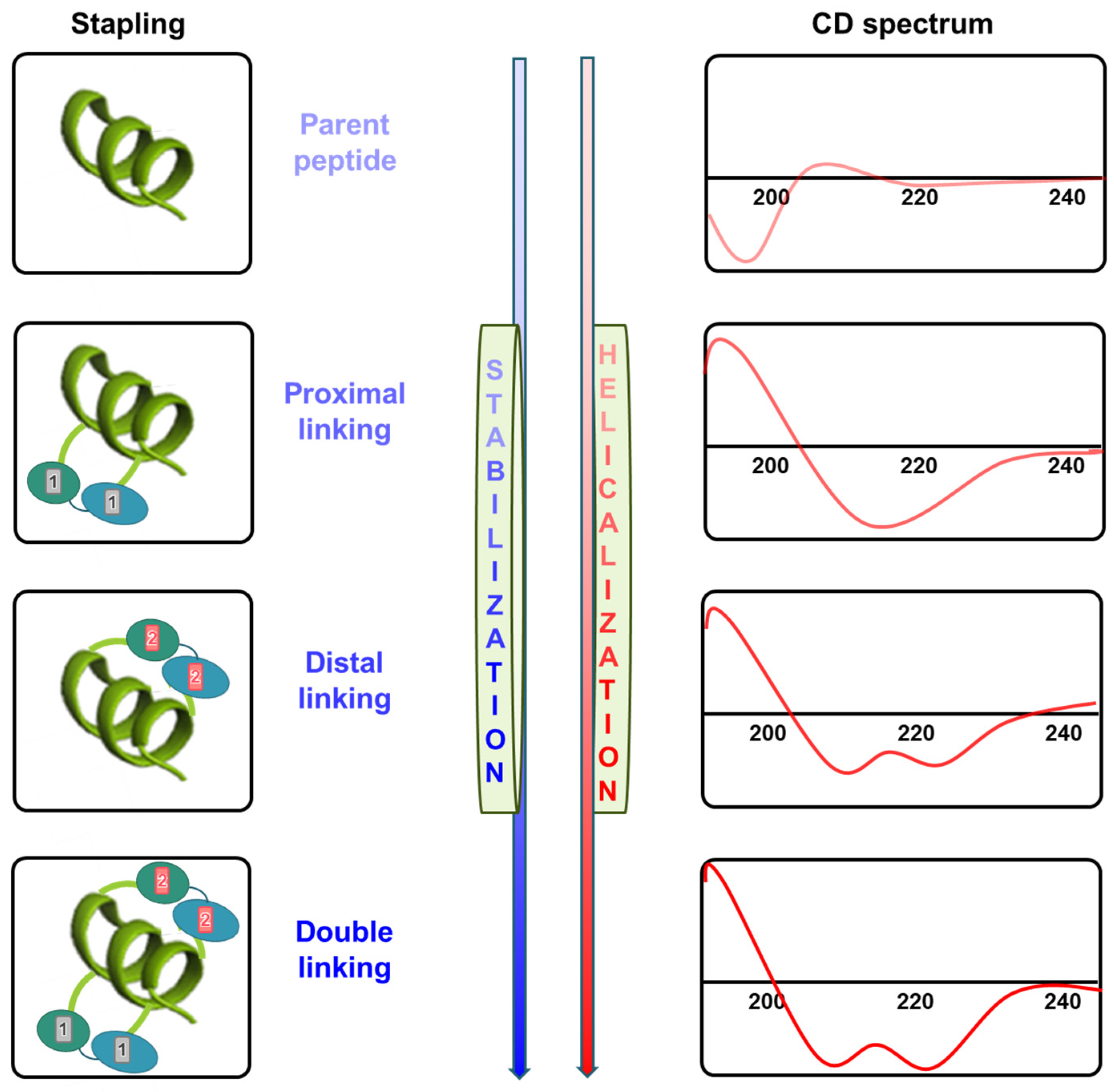 Biomimetics 09 00537 g004