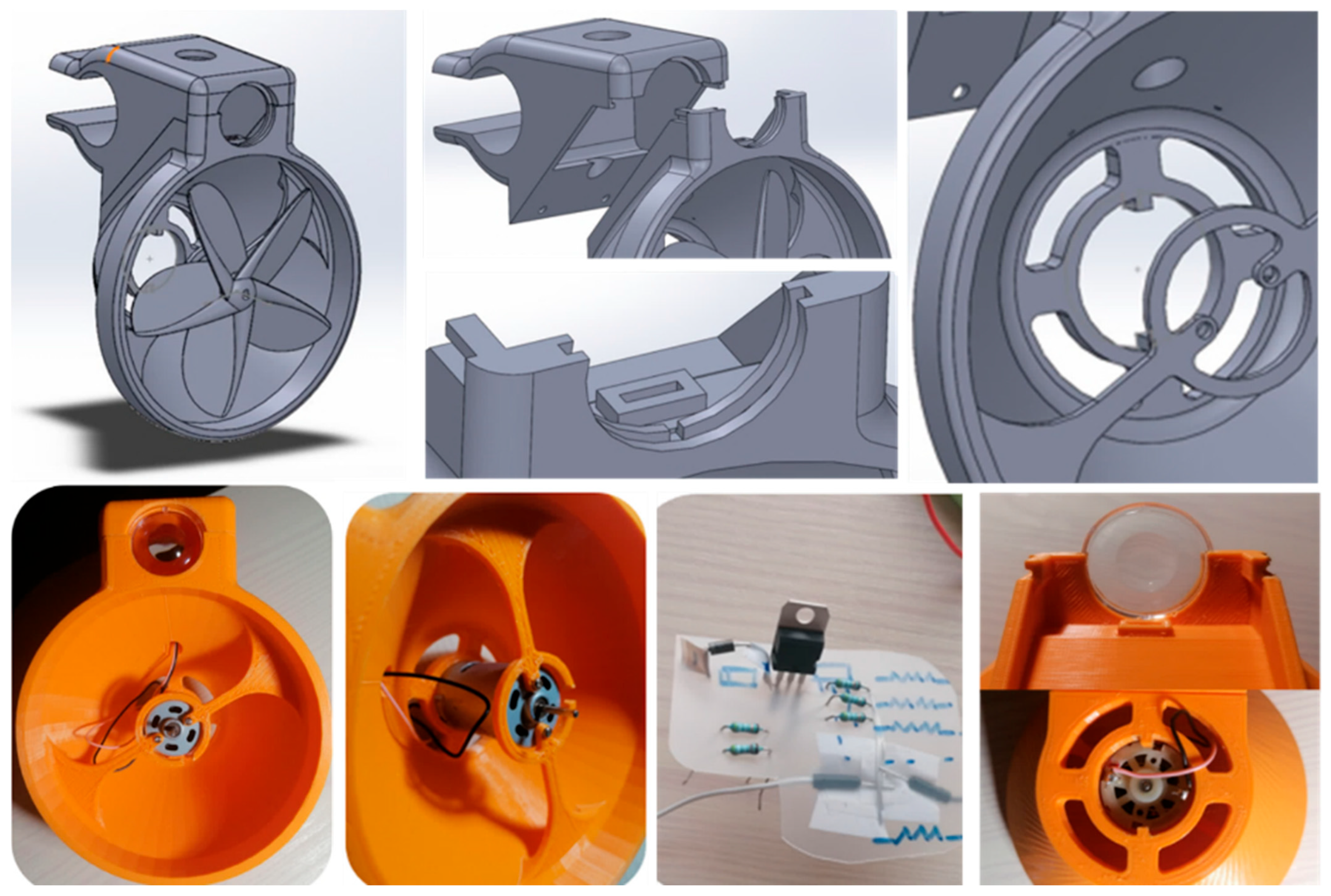 Biomimetics 09 00539 g005