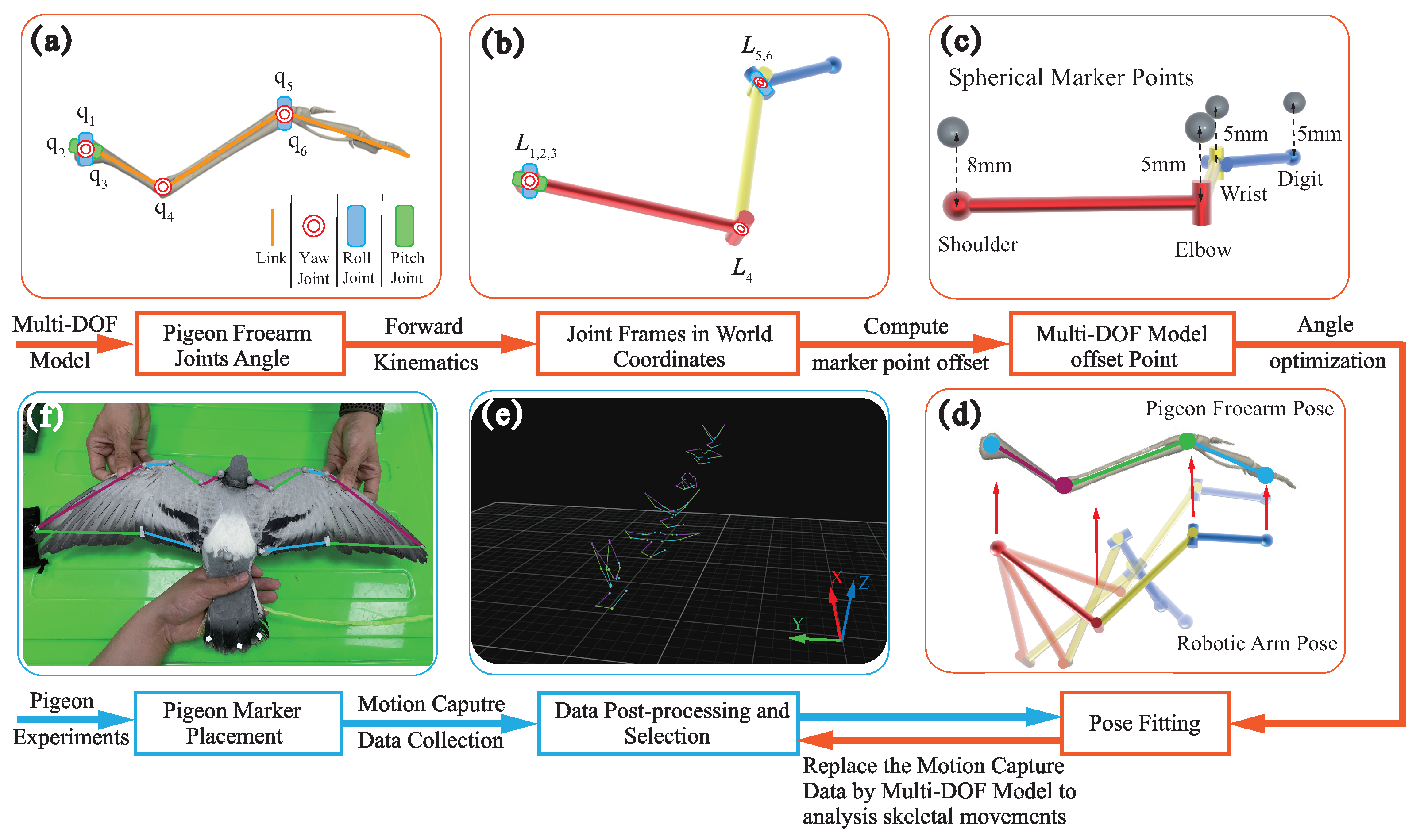 Biomimetics 09 00555 g005