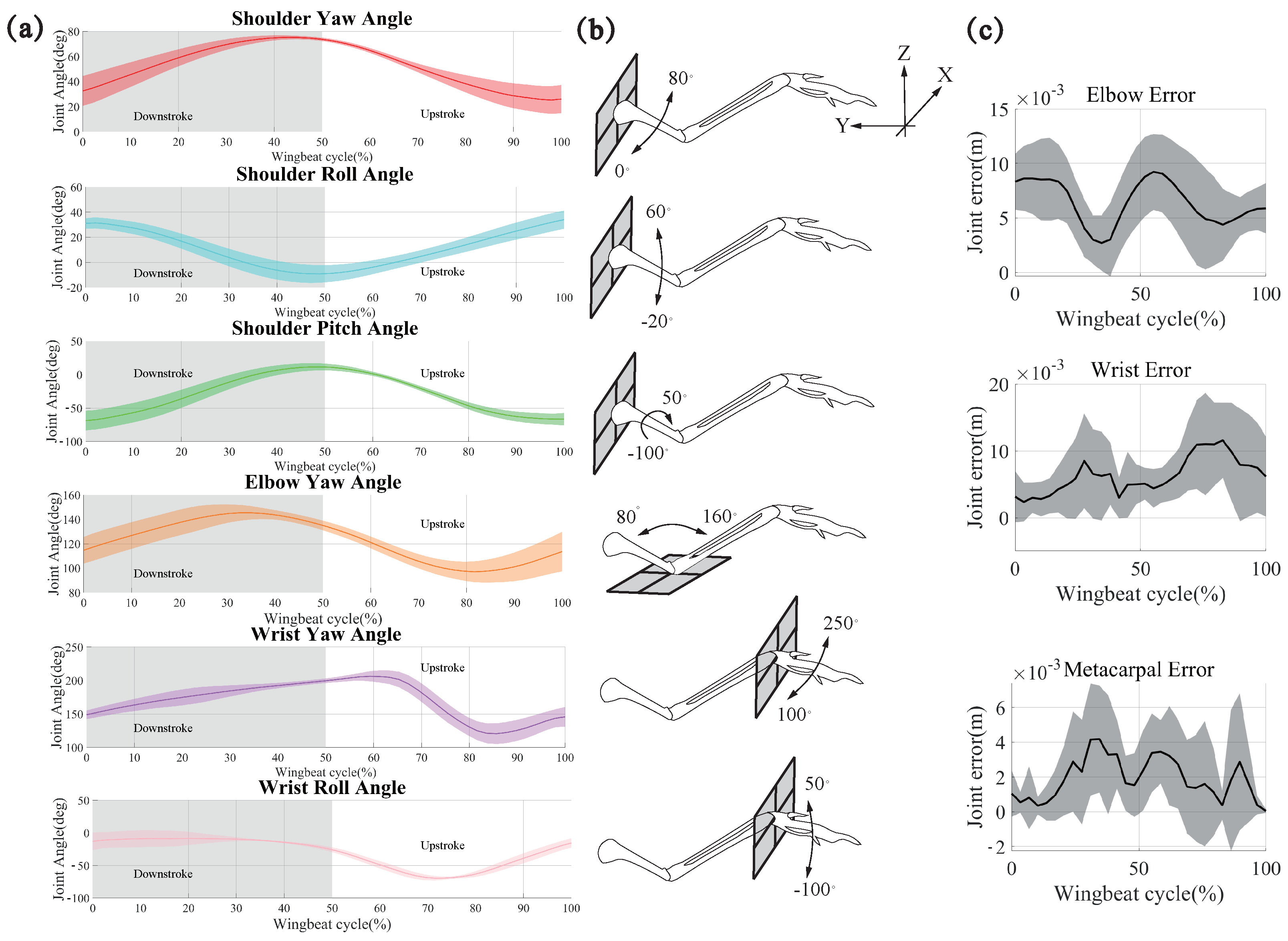 Biomimetics 09 00555 g007