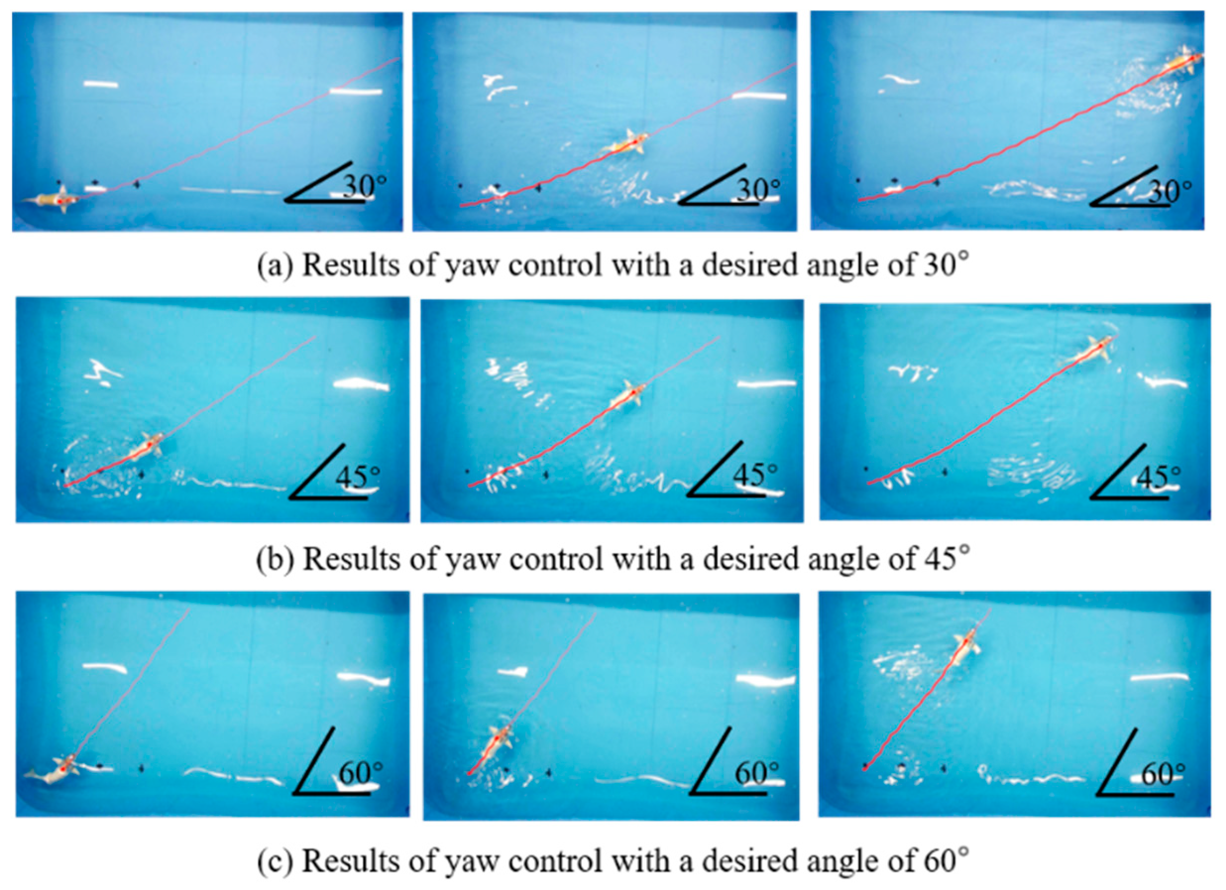 Biomimetics 09 00556 g007