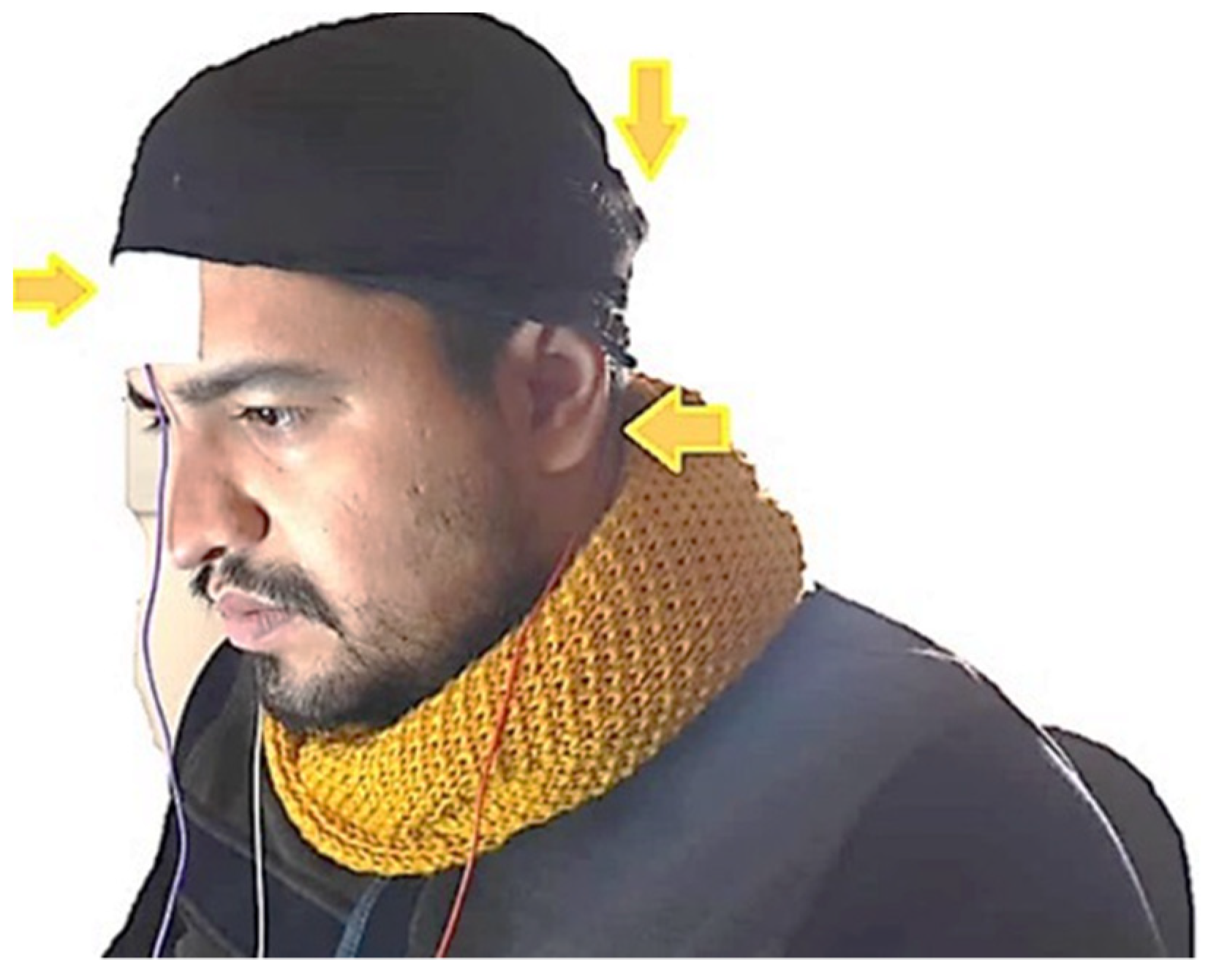 Biomimetics 09 00562 g007