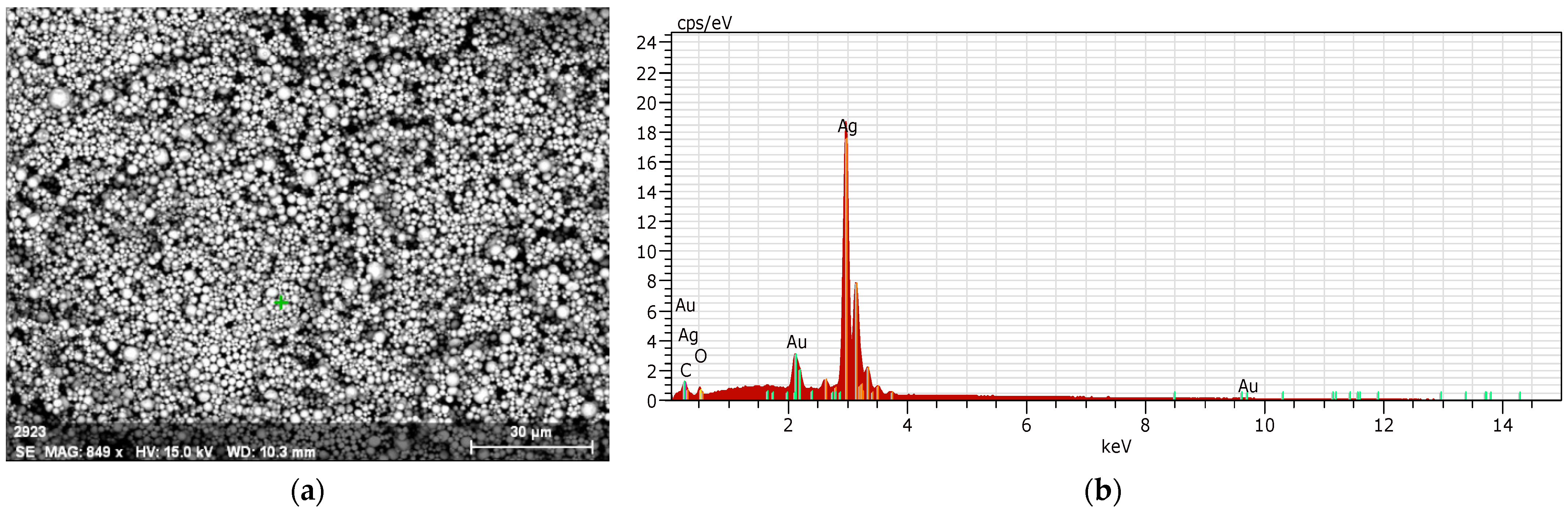Biomimetics 09 00562 g012