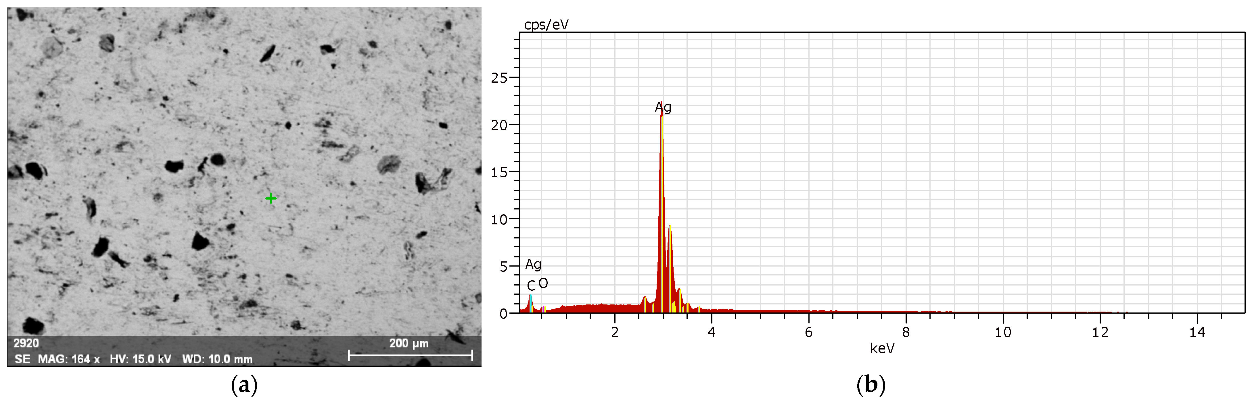 Biomimetics 09 00562 g013