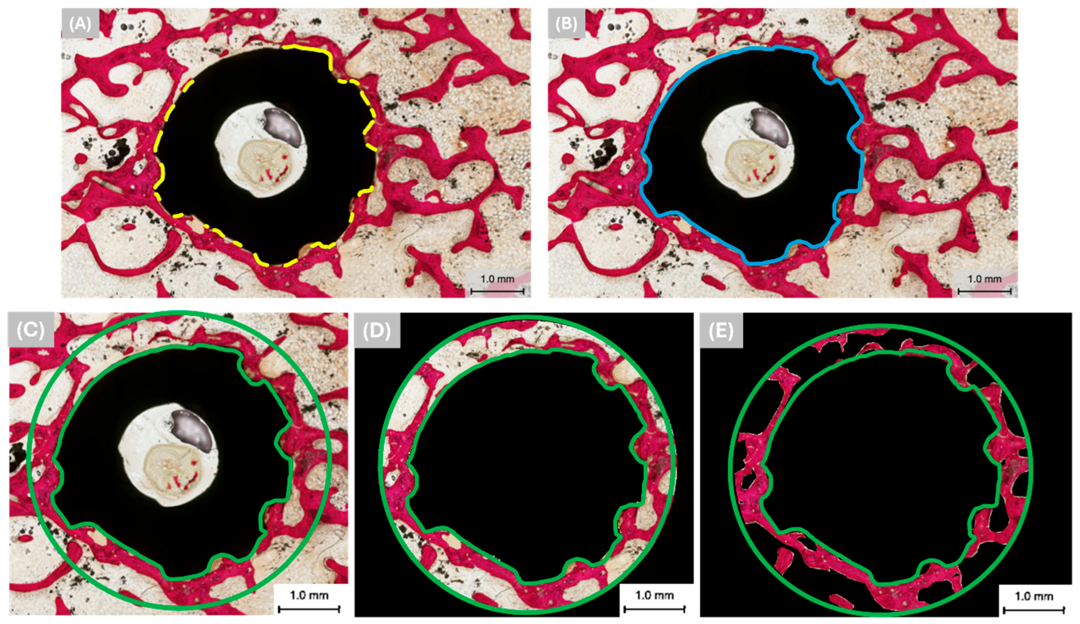 Biomimetics 09 00568 g003