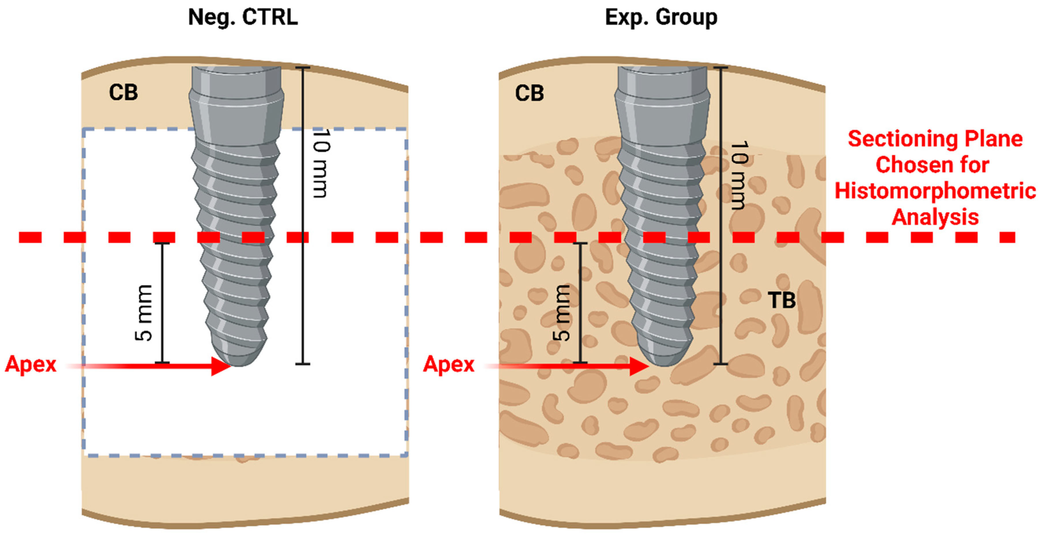 Biomimetics 09 00568 g004