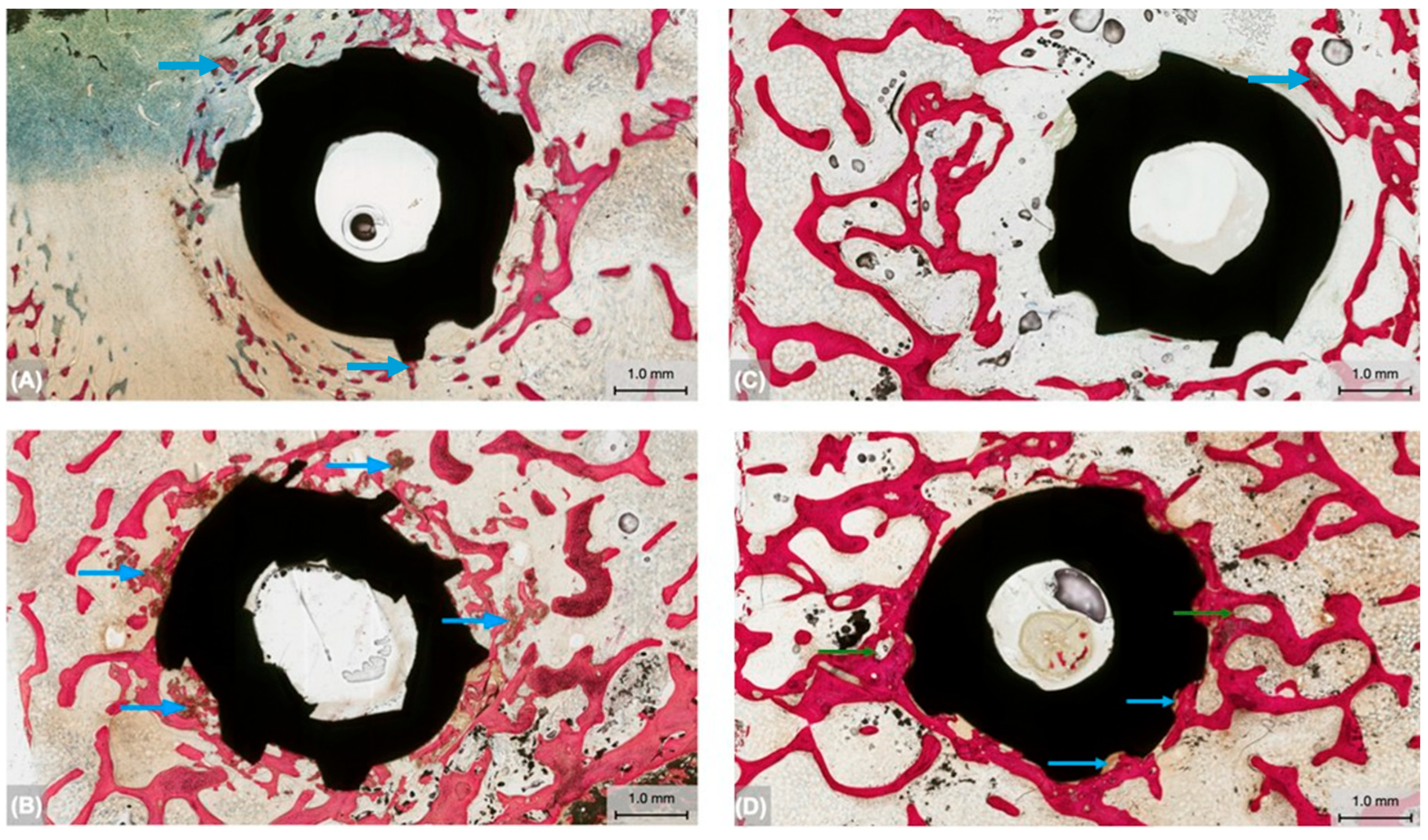 Biomimetics 09 00568 g005