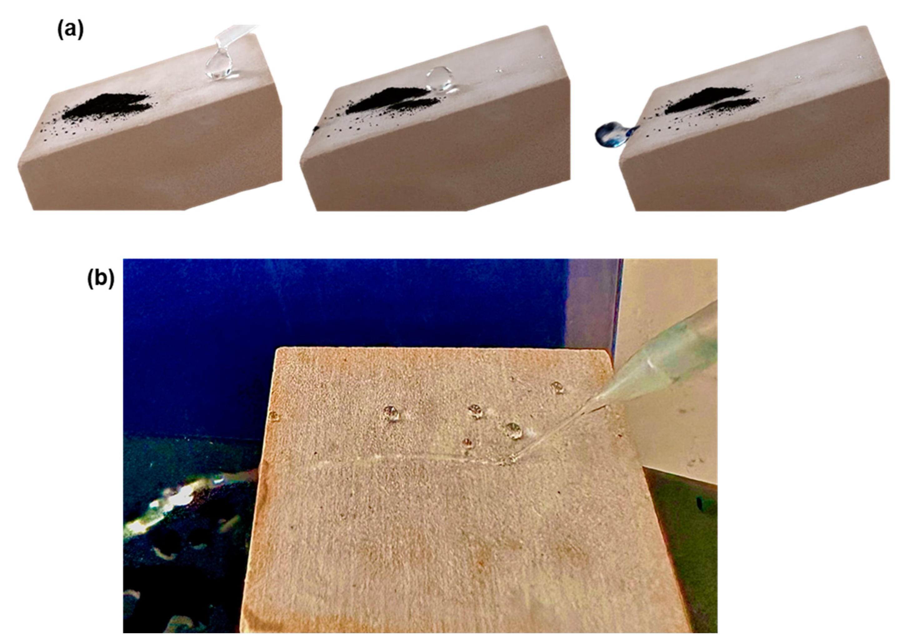 Biomimetics 09 00573 g003