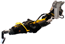 Biomimetics 09 00579 i003