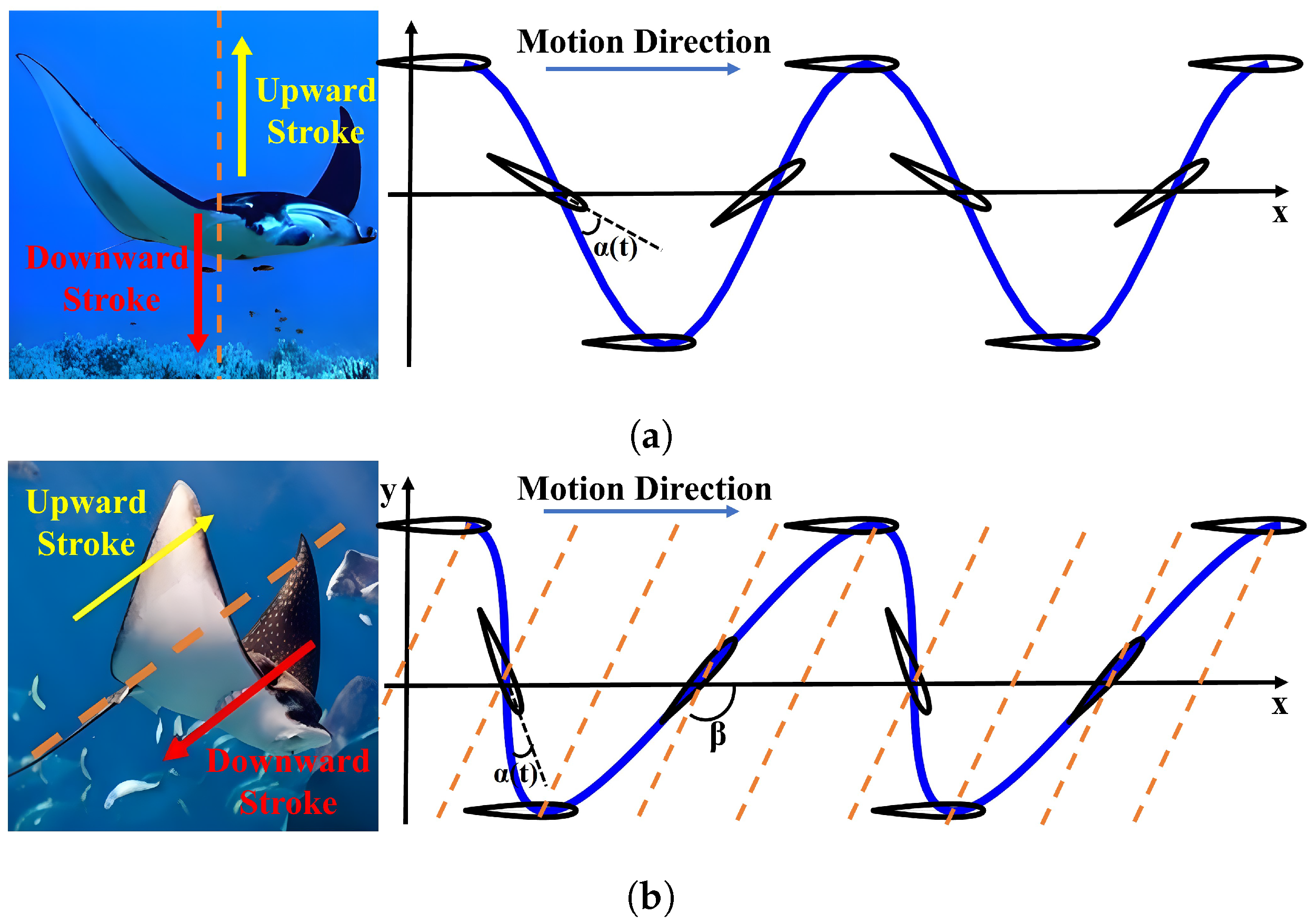 Biomimetics 09 00581 g001